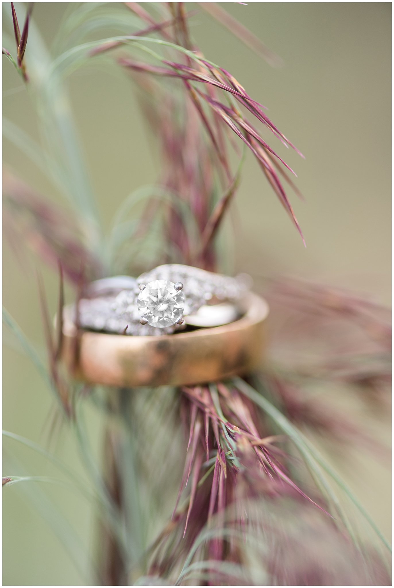 Soft and elegant wedding ring shot on a plant near a pond | Davis County Outdoor Wedding | Jessie and Dallin Photography