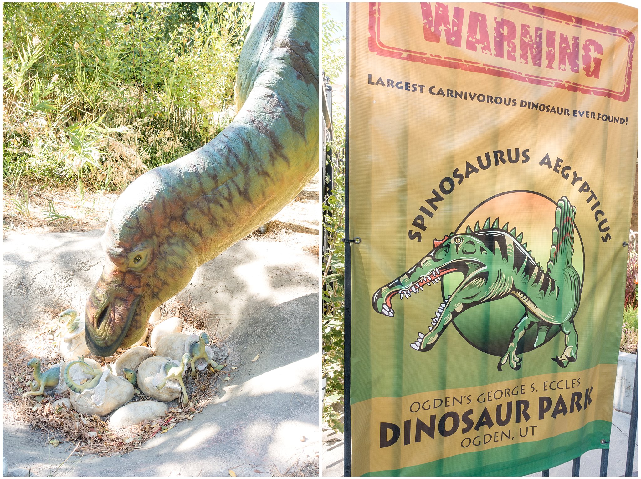 Dinosaur Park banner and dinosaur with babies | Fun Friday - Dinosaur Park | Ogden, Utah | Jessie and Dallin