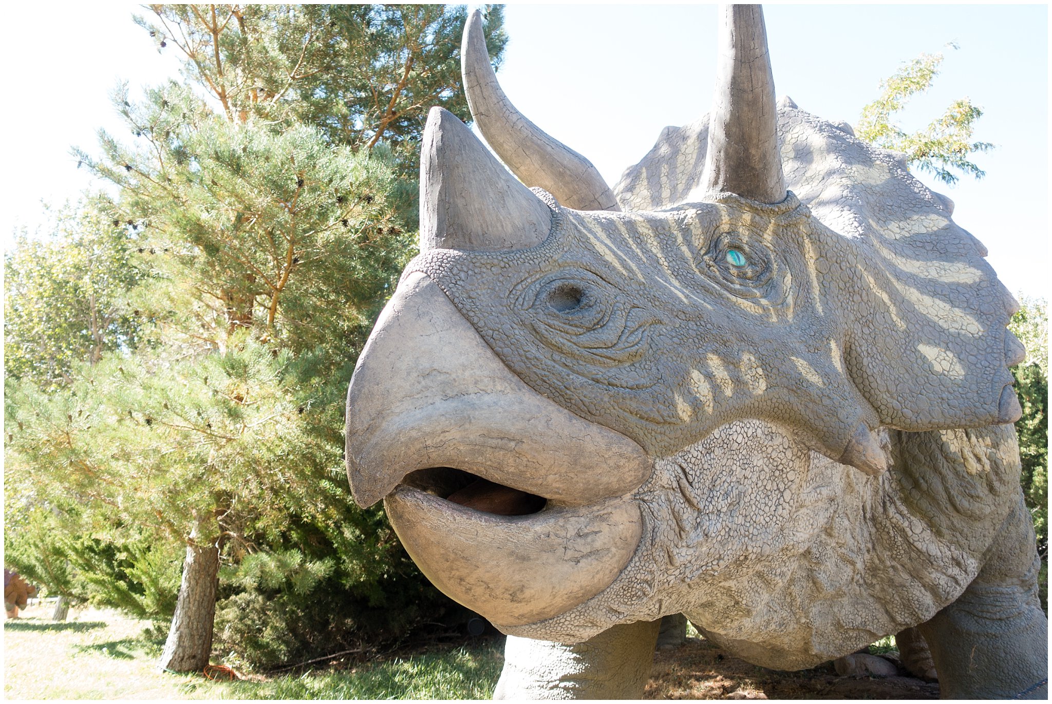 Triceratops statue | Fun Friday - Dinosaur Park | Ogden, Utah | Jessie and Dallin