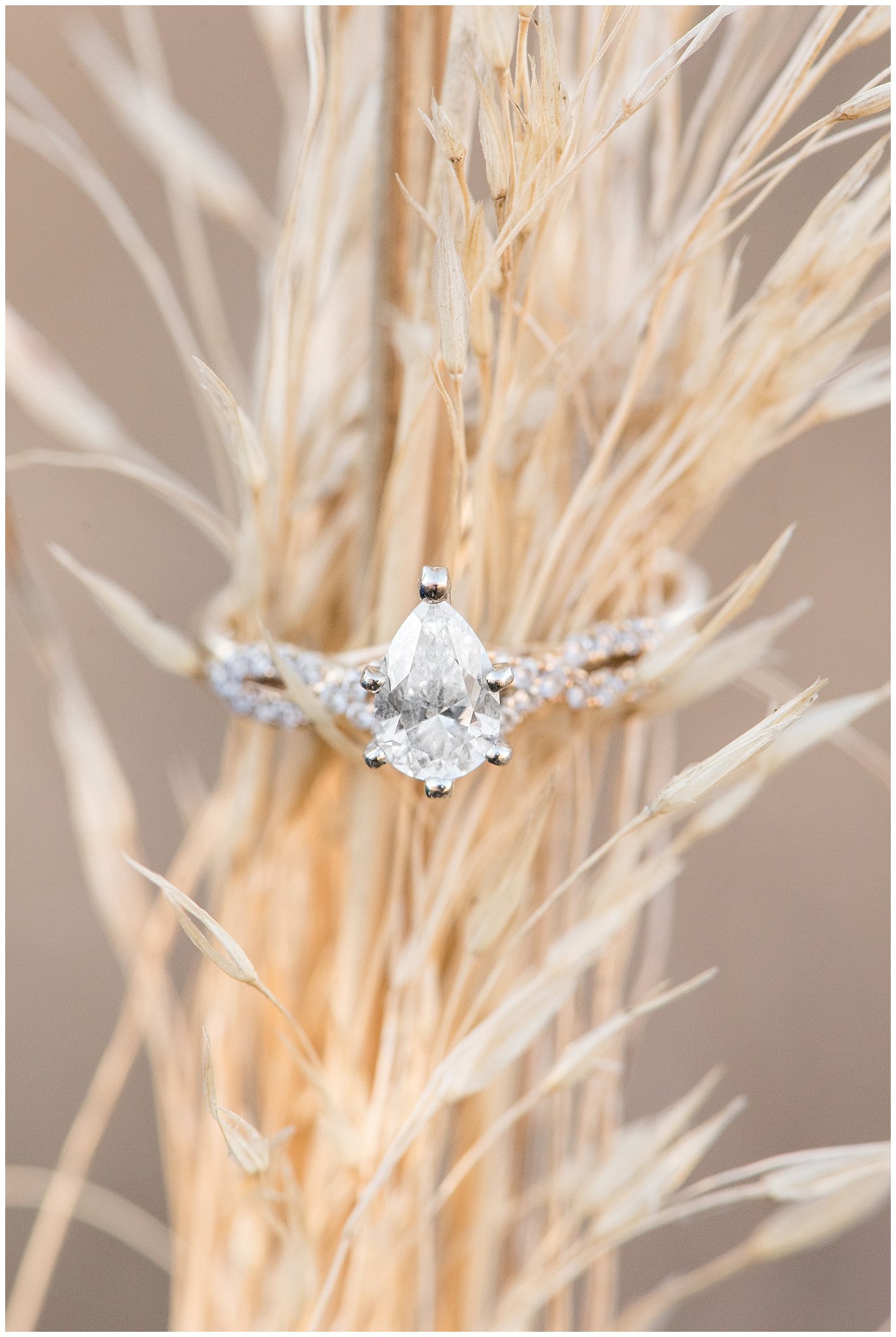 Ring shot photography on wheat grass or field grass | Davis County Fall Engagement | Utah Wedding Photographers | Jessie and Dallin