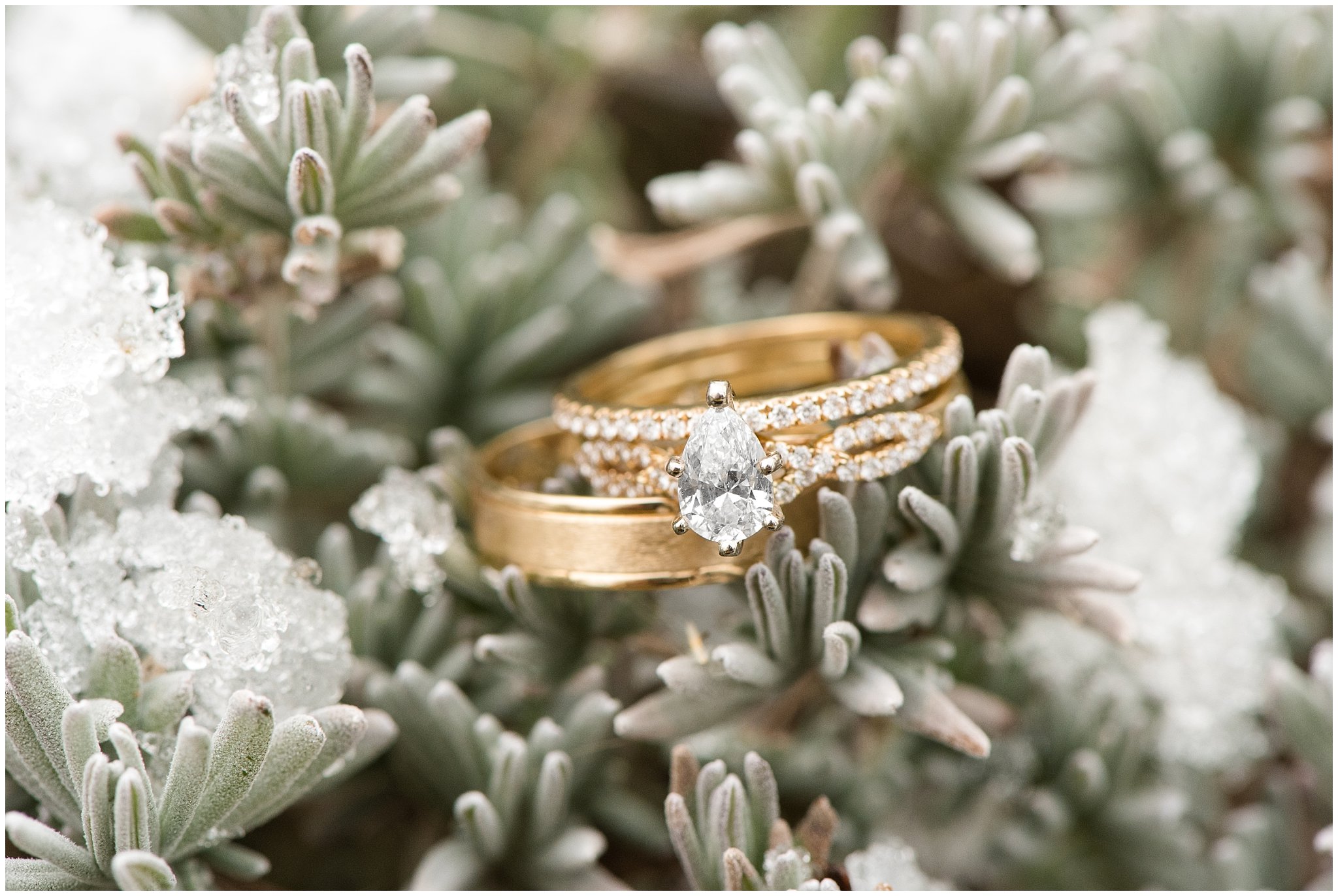 Gold wedding rings on snowy pine tree | Ogden Temple Winter Wedding | Emerald Green and Pink Wedding | Jessie and Dallin Photography