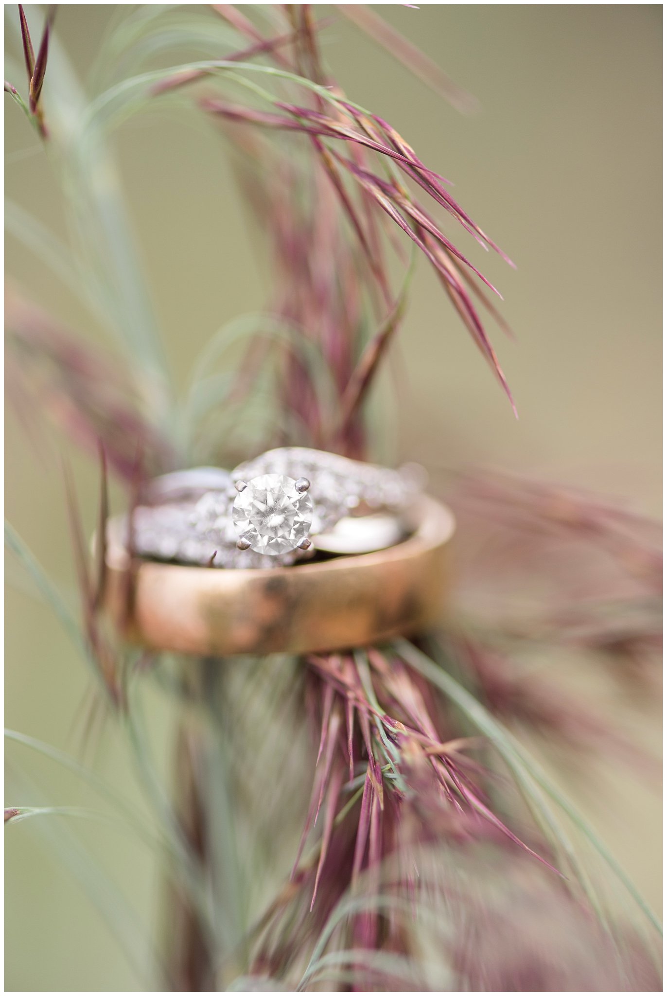 Layton Utah Wedding | Wedding rings on plant | Jessie and Dallin Photography