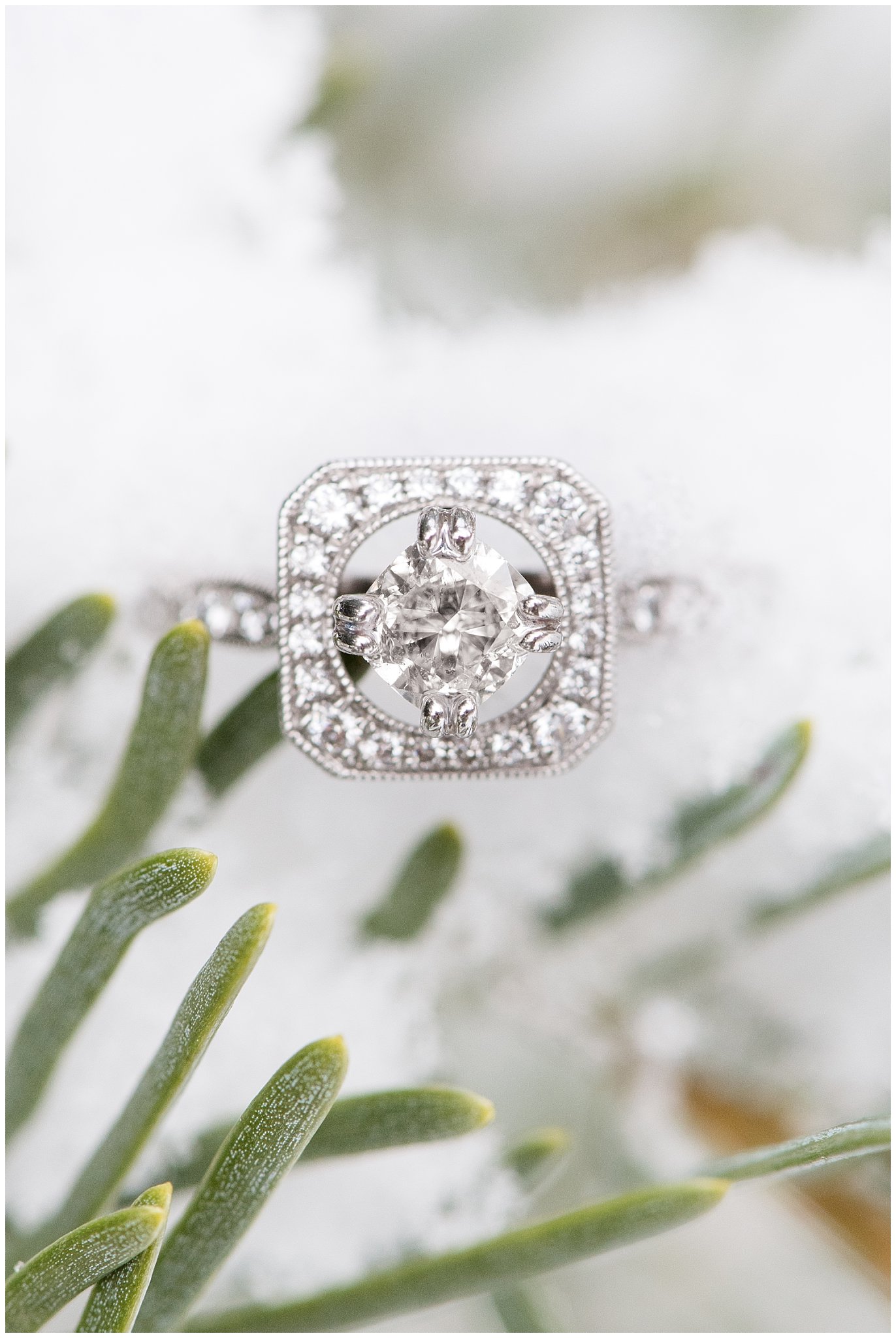 Engagement ring on a snowy pine tree | Winter Engagement at Mueller Park and the Utah State Capitol | Jessie and Dallin Photography
