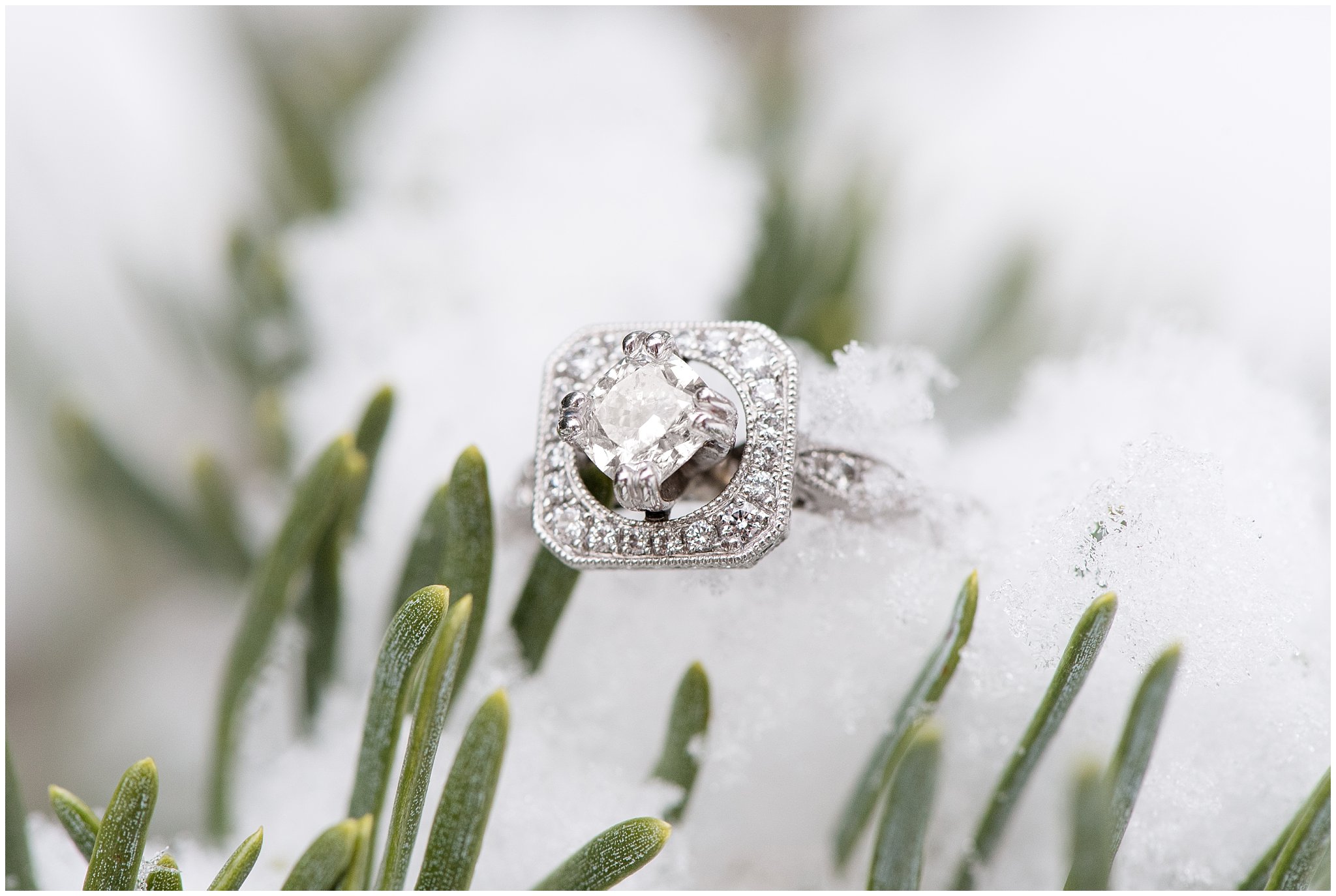 Engagement ring on pine trees in the snow | Winter Engagement at Mueller Park and the Utah State Capitol | Jessie and Dallin Photography