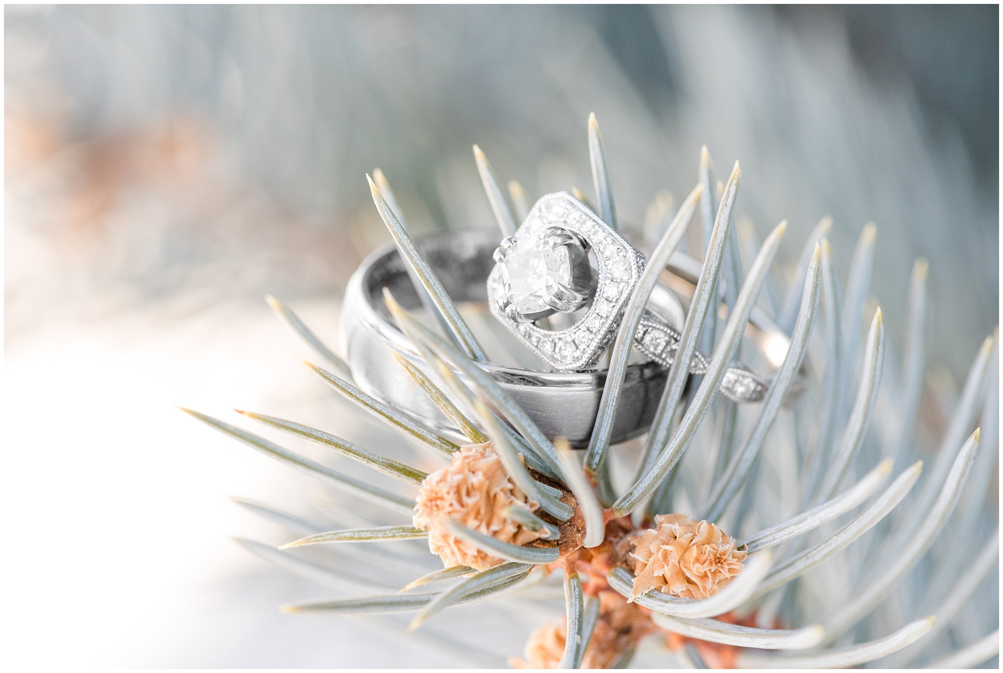 Wedding ring shot in the winter on a pine tree | Ogden Temple Wedding | Jessie and Dallin Photography