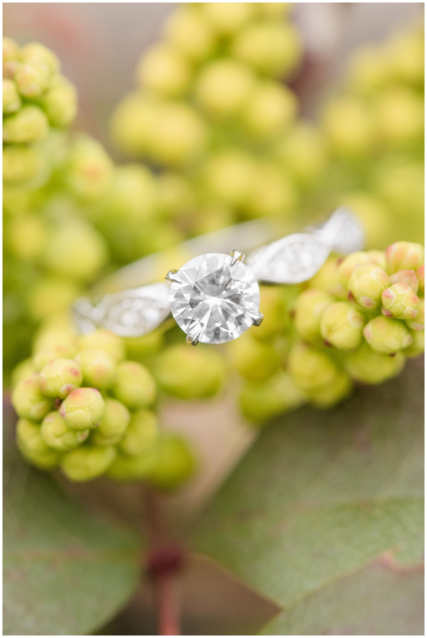 Engagement ring shot on green yellow berries | Downtown Salt Lake and Ensign Peak Engagement | Utah Wedding Photographers | Jessie and Dallin Photography