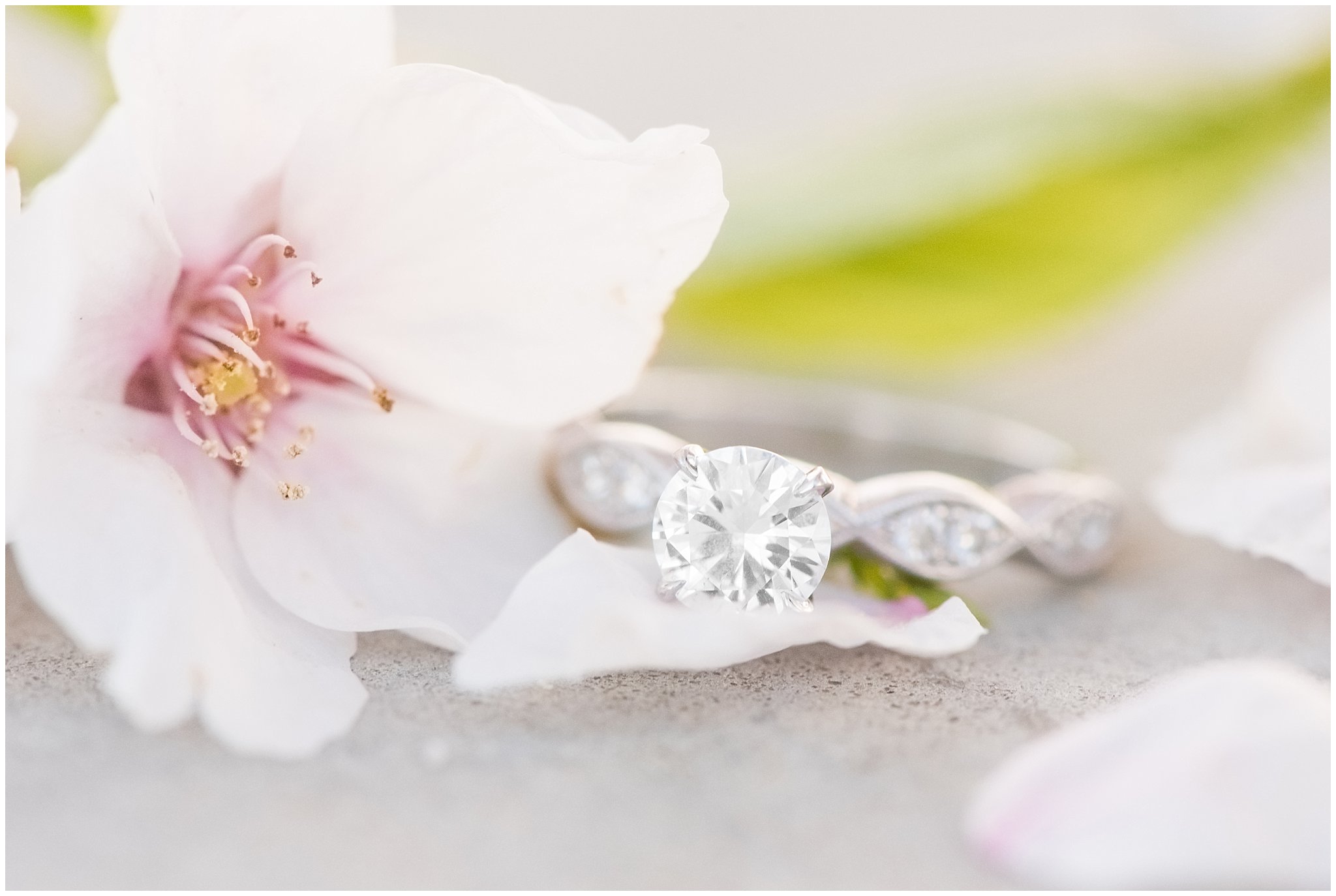 Engagement ring on cherry blossoms | Utah State Capitol Blossoms Formal Session | Salt Lake Wedding Photographers | Jessie and Dallin Photography