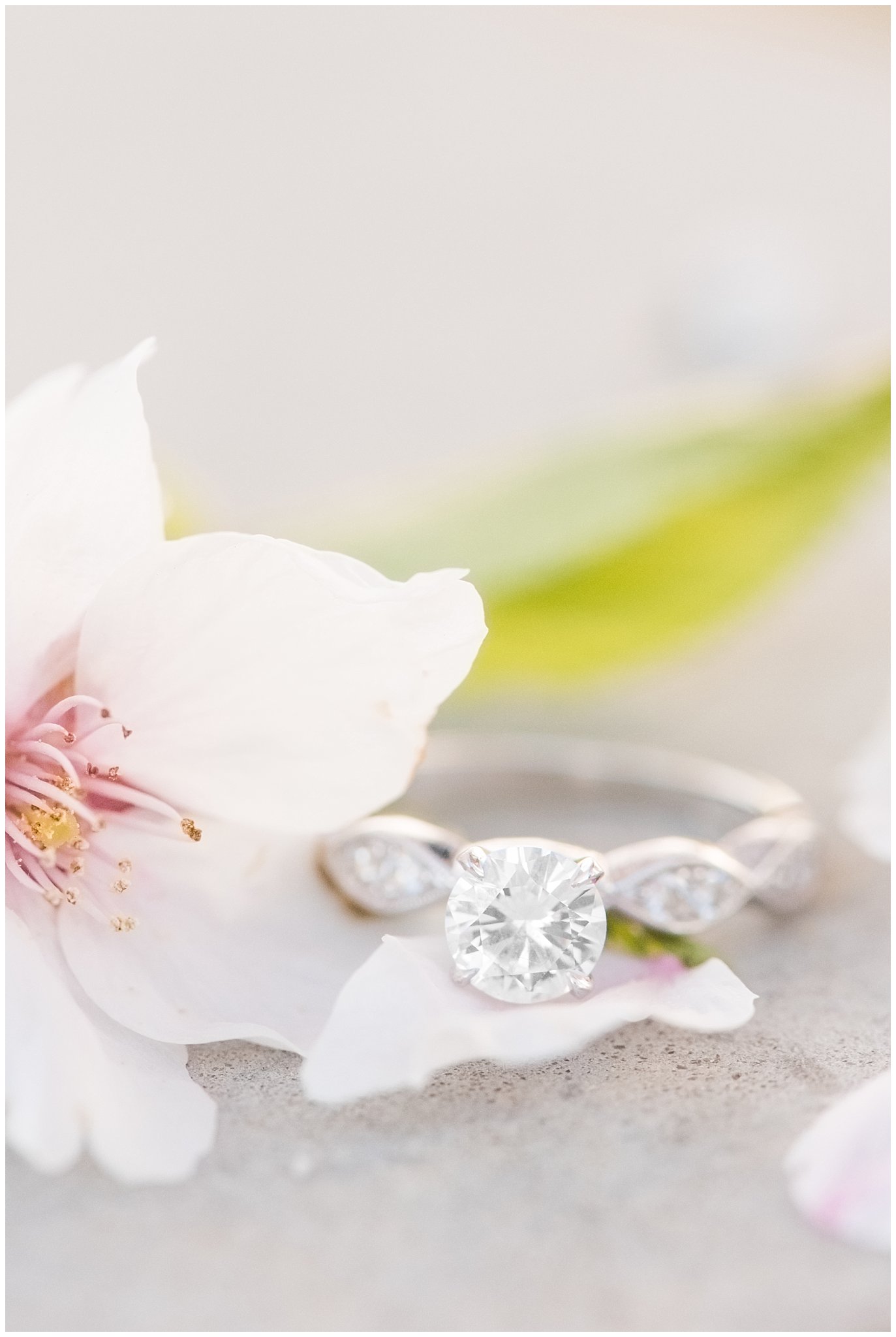 Engagement ring on cherry blossoms | Utah State Capitol Blossoms Formal Session | Salt Lake Wedding Photographers | Jessie and Dallin Photography