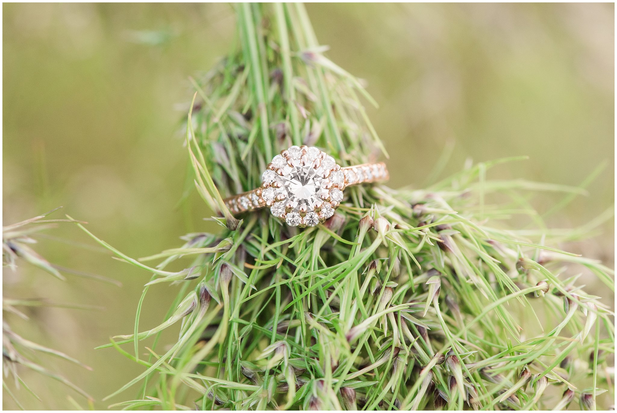 Ring shot on green weeds during engagement in the woods | Utah Engagement | Jessie and Dallin Photography