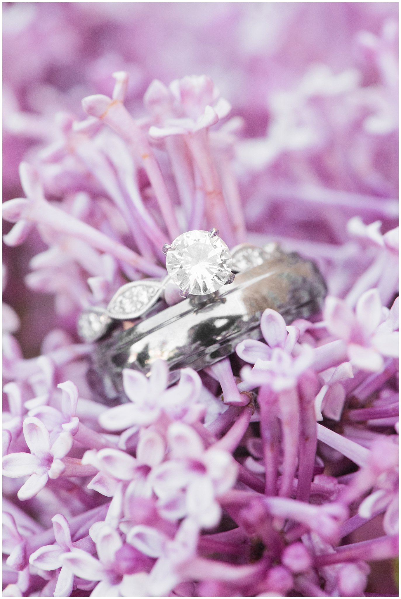 Silver wedding rings on purple flower | Spring Provo City Center Temple Wedding | Utah Wedding Photographers | Jessie and Dallin Photography