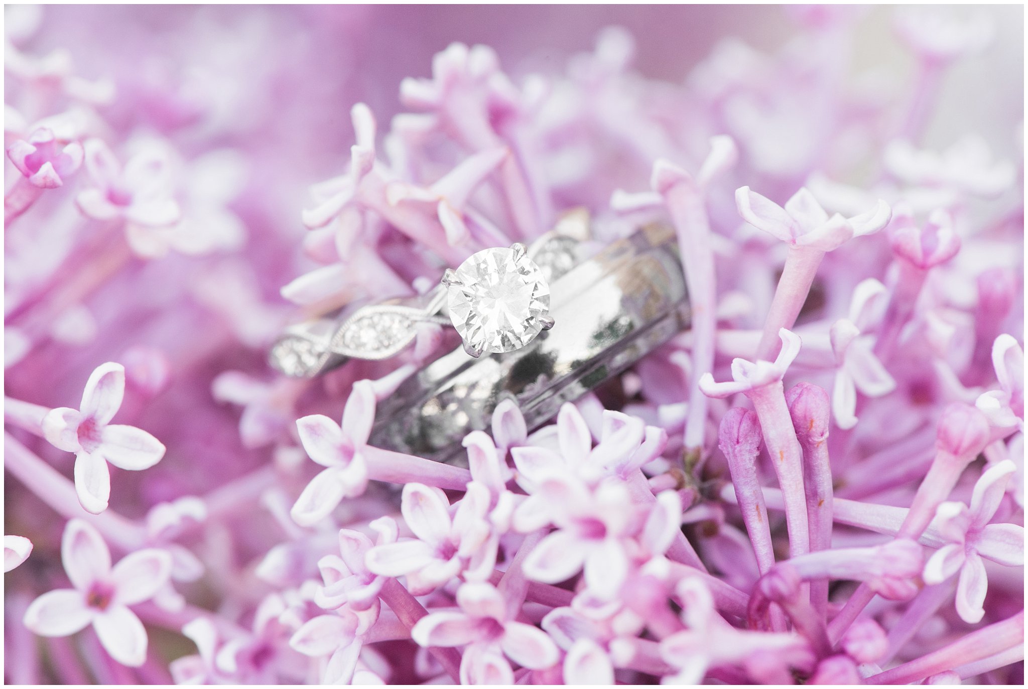 Silver wedding rings on purple flower | Spring Provo City Center Temple Wedding | Utah Wedding Photographers | Jessie and Dallin Photography