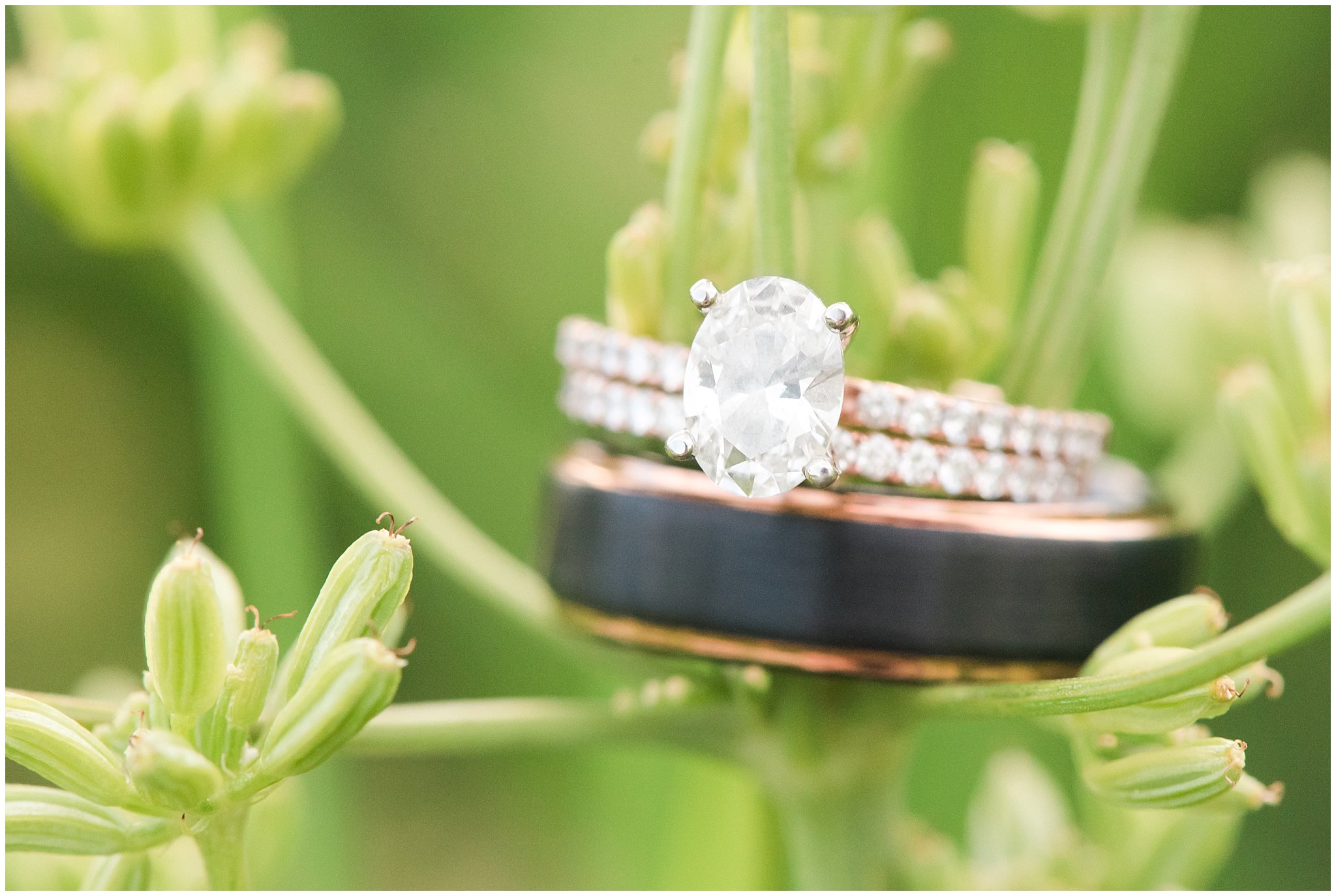 Wedding rings on green plants in the mountains | black and bronze wedding rings | Snowbasin Summer Formal Session | Utah Wedding Photographers | Jessie and Dallin