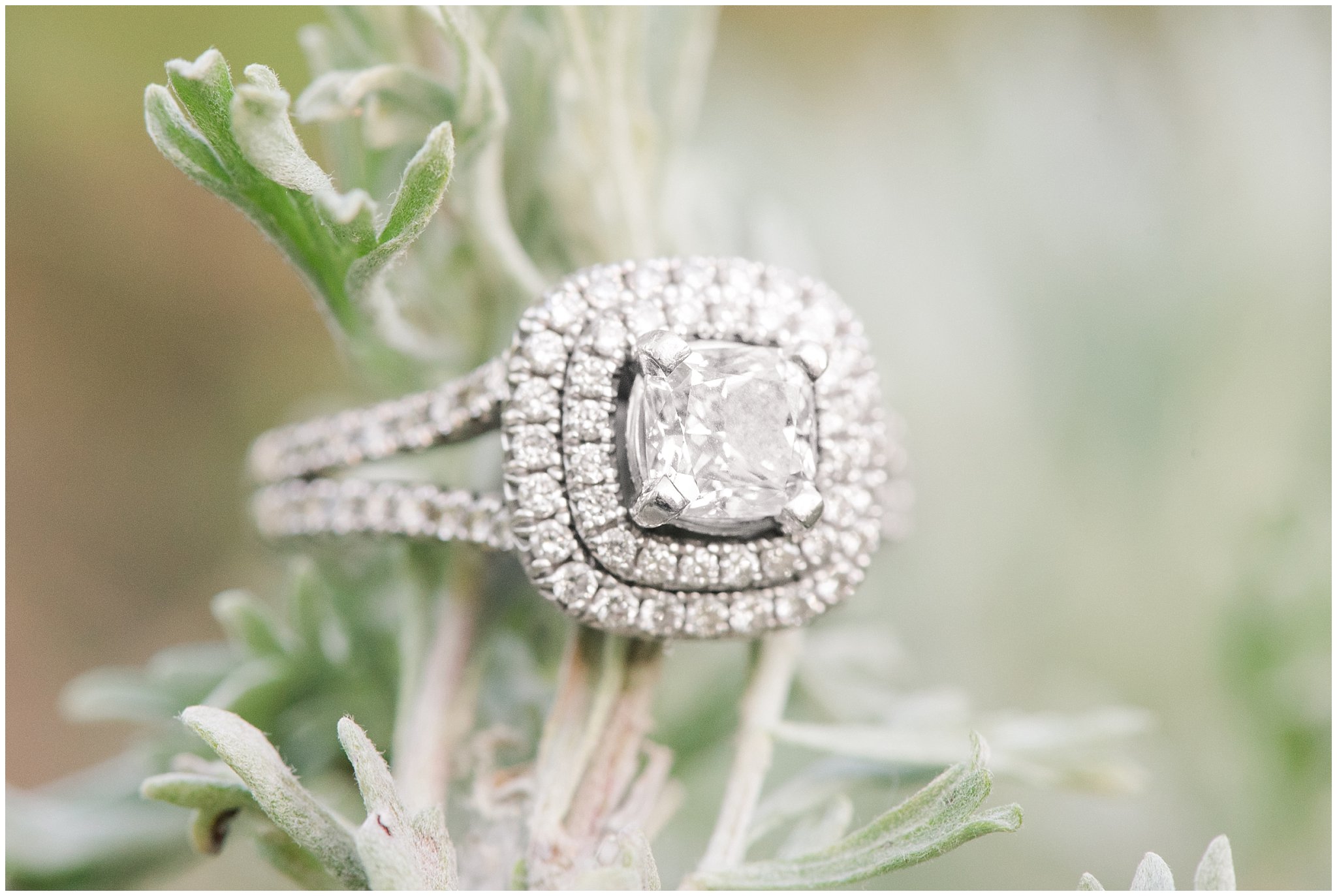 Engagement ring on sagebrush | Wildflower Engagement in the Utah Mountains | Utah Engagement Photography | Jessie and Dallin Photography