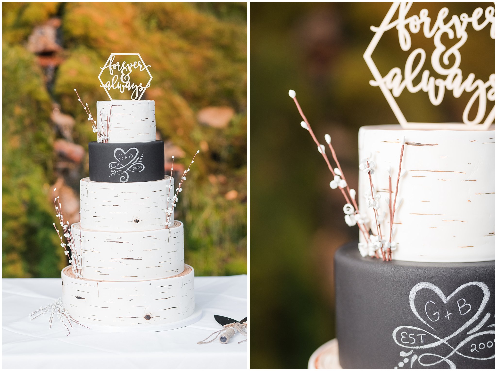 Burch tree wedding cake with couple's initials | Sweet Cravings by Marcia | Log Haven Summer Mountain Wedding | Jessie and Dallin Photography