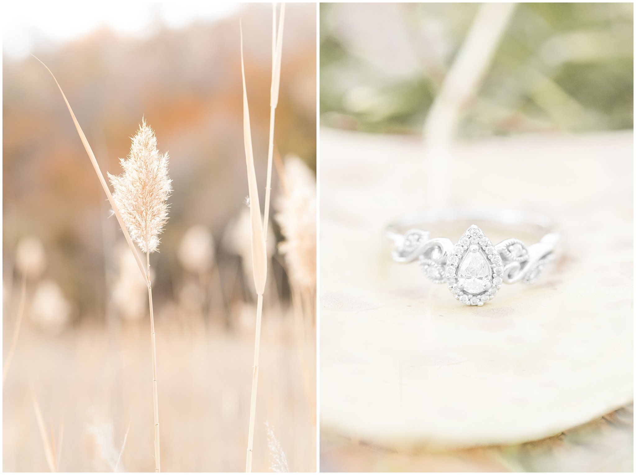 Engagement ring on golden fall grasses | Kays Creek Parkway Fall Engagement Session | Utah Fall Engagement | Jessie and Dallin Photography