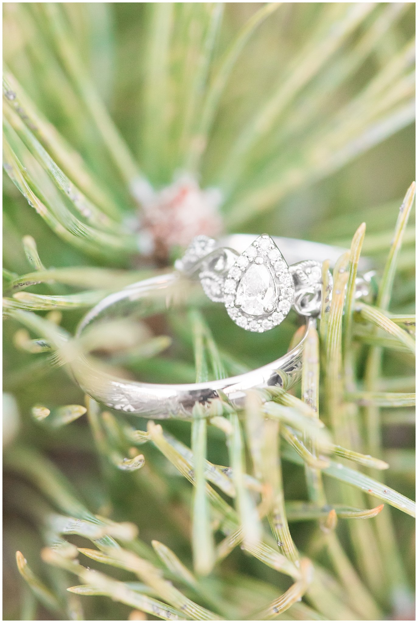 Wedding rings on pine tree branch | Ogden Temple Winter Formal Session | Jessie and Dallin Photography