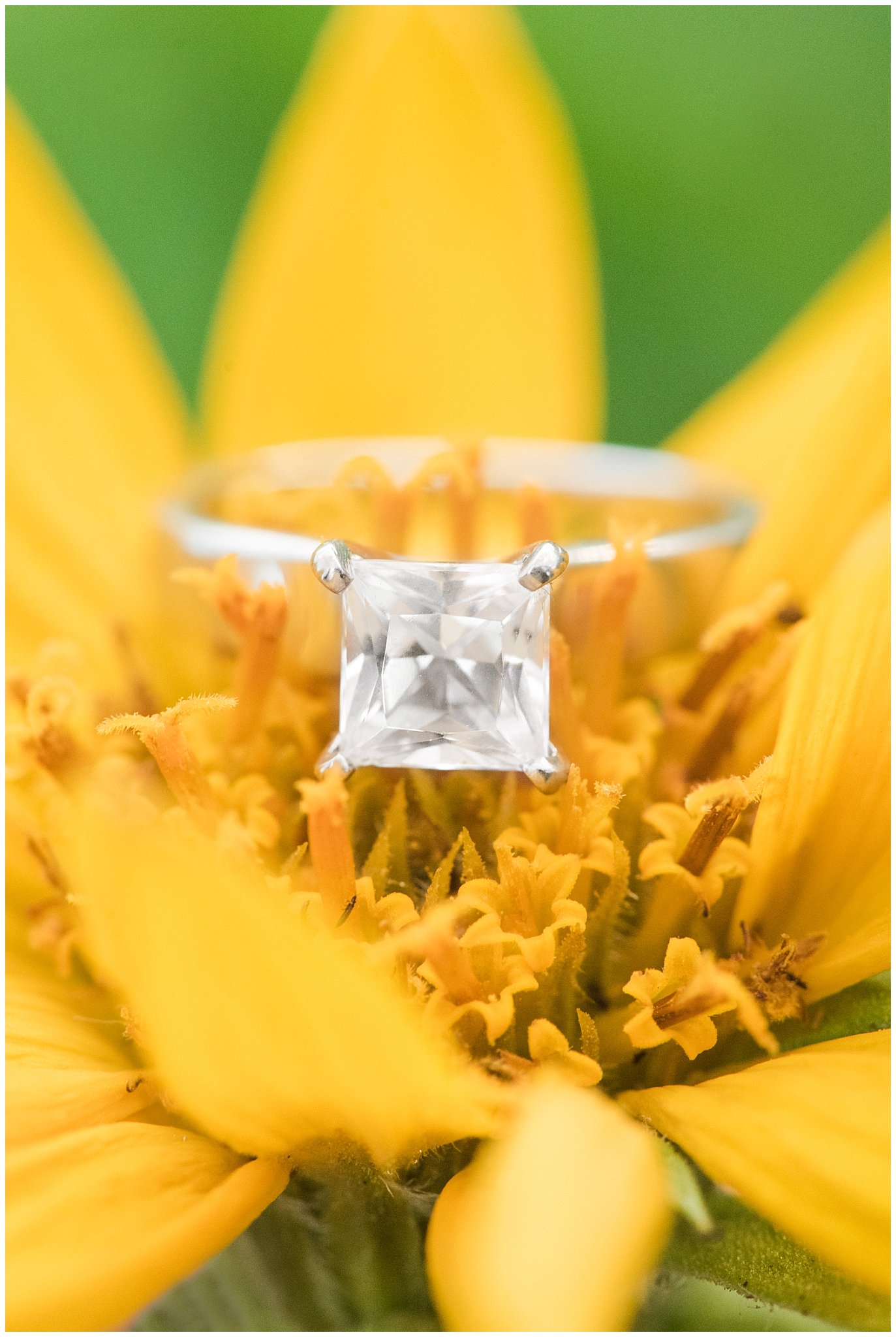 Engagement ring on wildflower | Snowbasin Wildflower Engagement | Jessie and Dallin Photography
