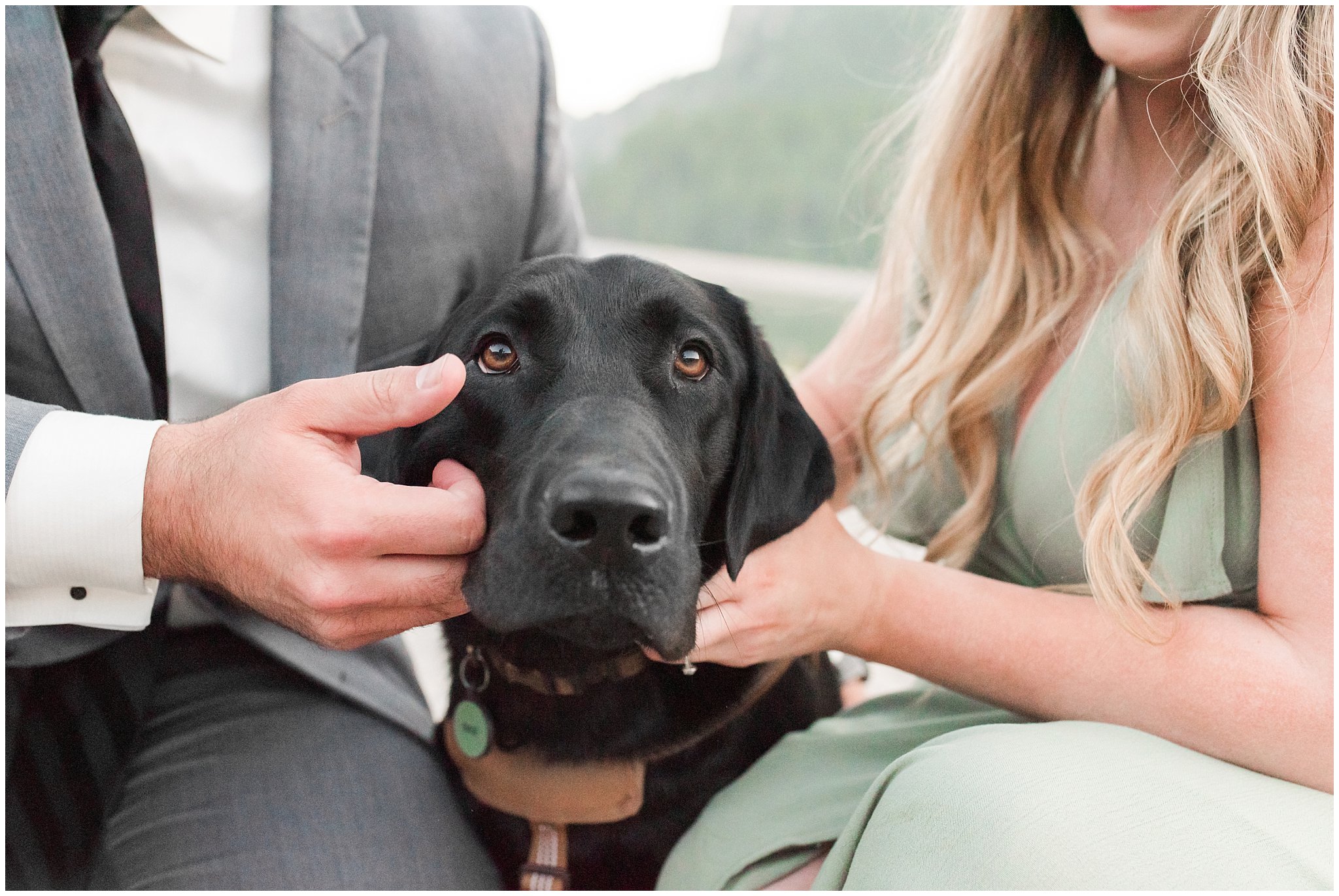 Couple in sage green dress and grey suit with puppy in the mountains | Tibble Fork Summer Engagement Session | Jessie and Dallin Photography