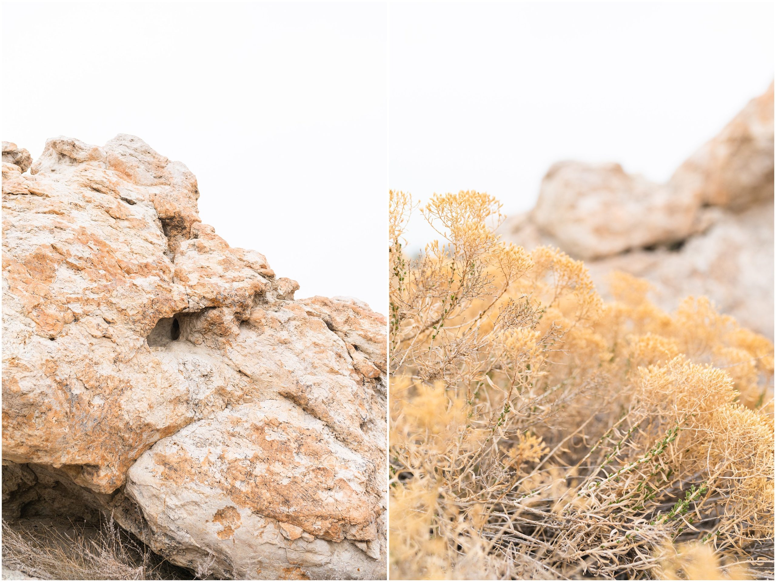 Antelope Island Stormy Engagement Session | Jessie and Dallin Photography