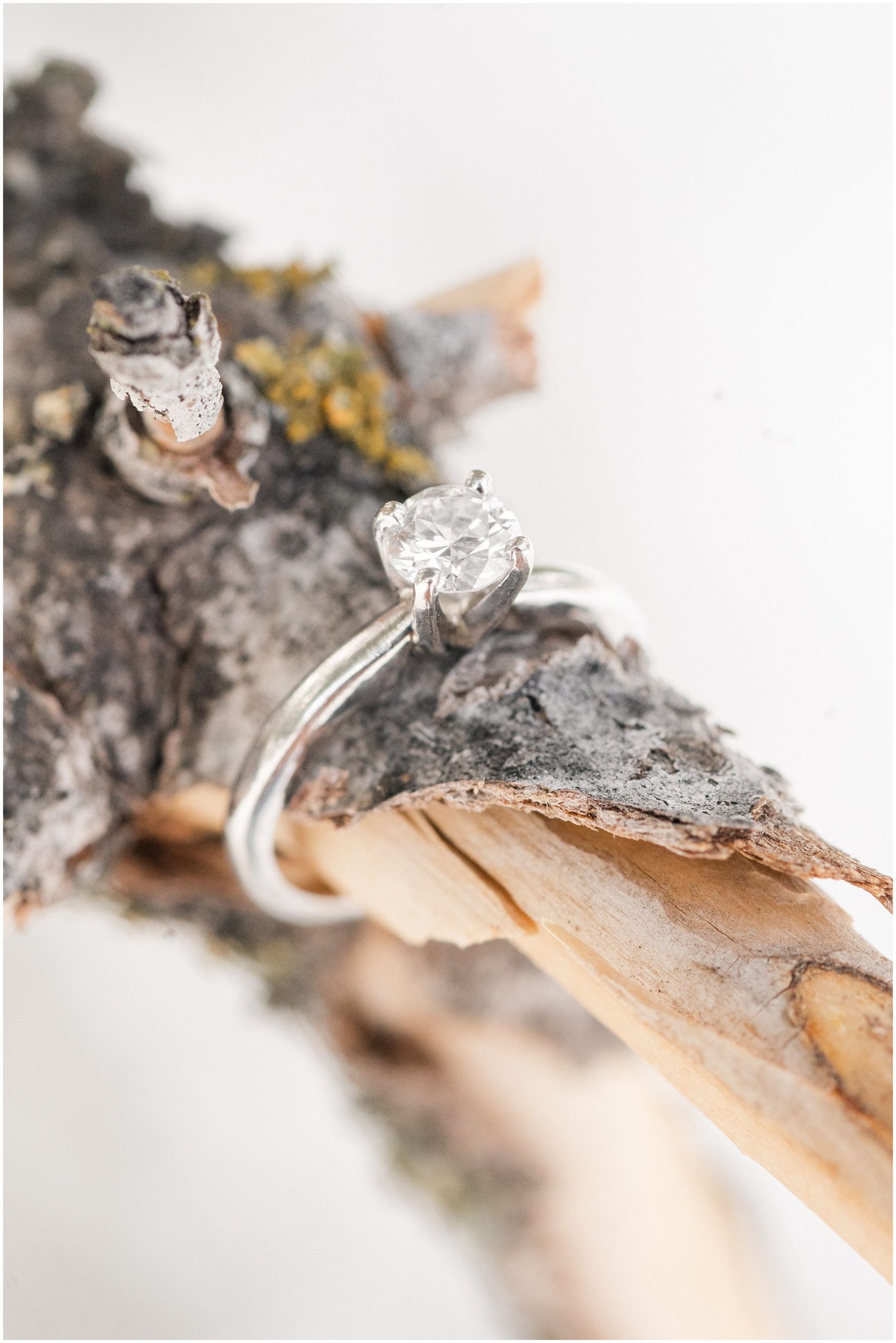Ring shot on a snowy tree during mountain destination engagement session in Utah | Wearing olive colored dress with black floppy hat and black sweater and black pants | Snowbasin Resort Snowy Engagement Session | Jessie and Dallin Photography