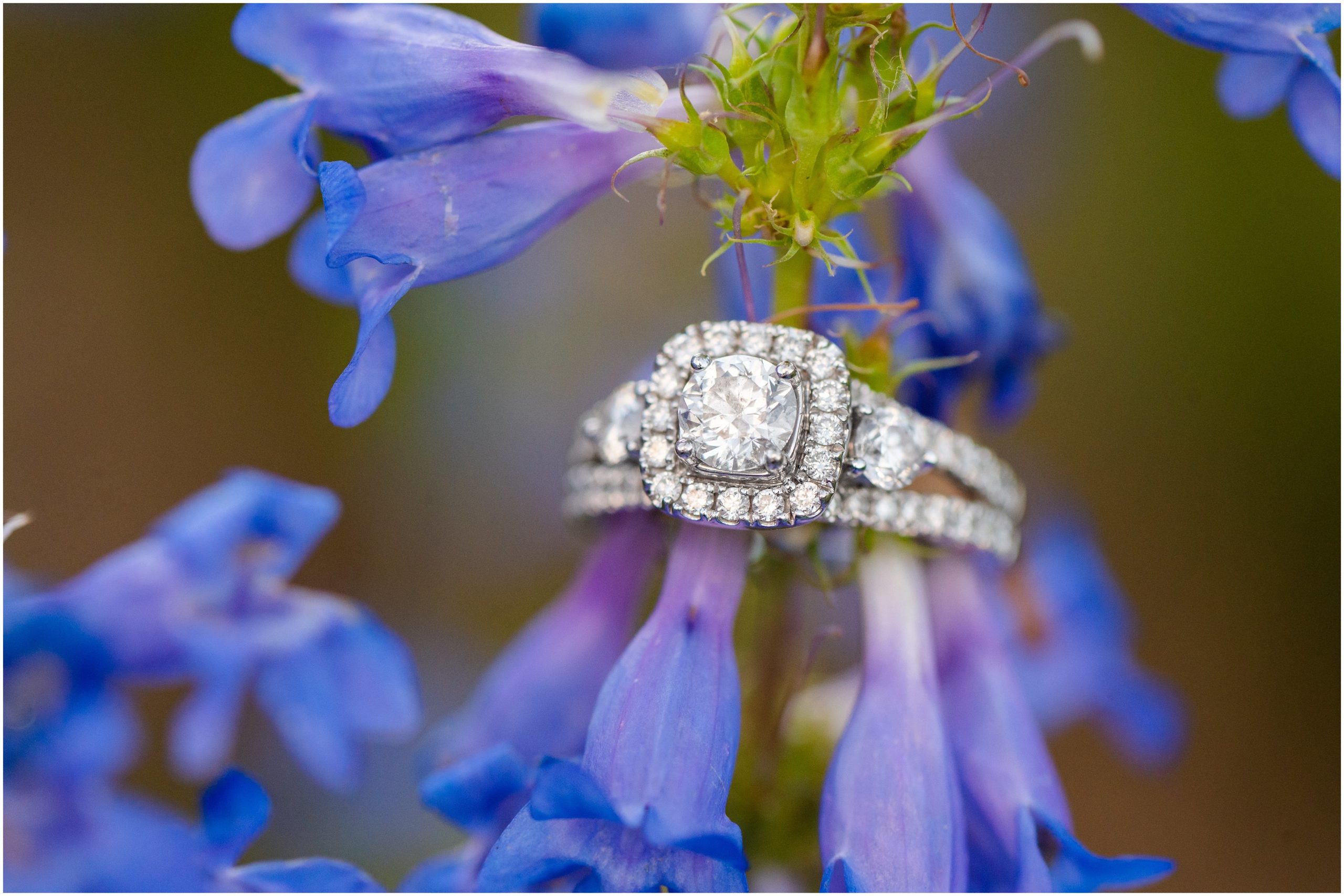 Ring on wildflowers | Tony Grove Western Destination Engagement