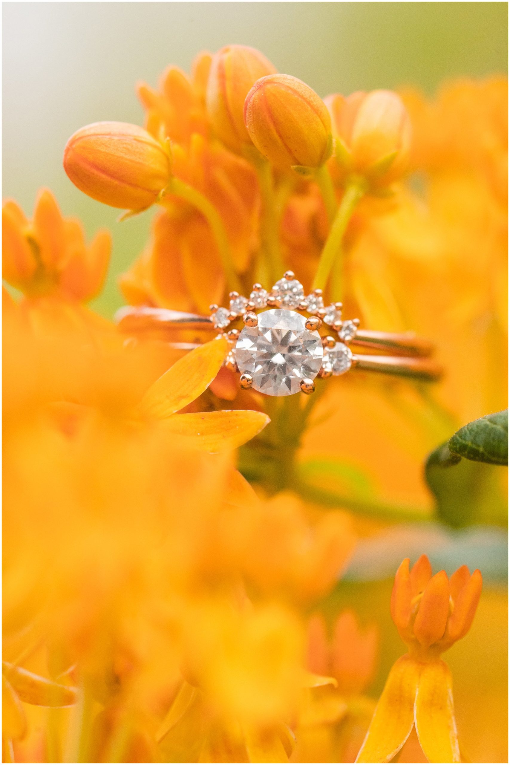 Engagement ring on orange flower | Utah Botanical Garden Engagement | Jessie and Dallin Photography