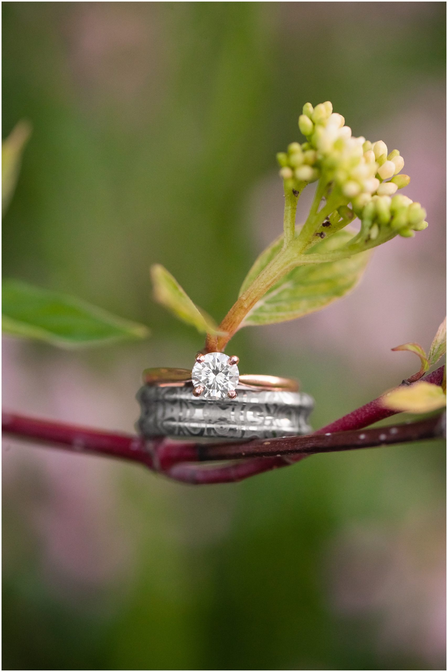 Ring shot on plants in Salt Lake City | International Peace Gardens Formal Session | Jessie and Dallin Photography