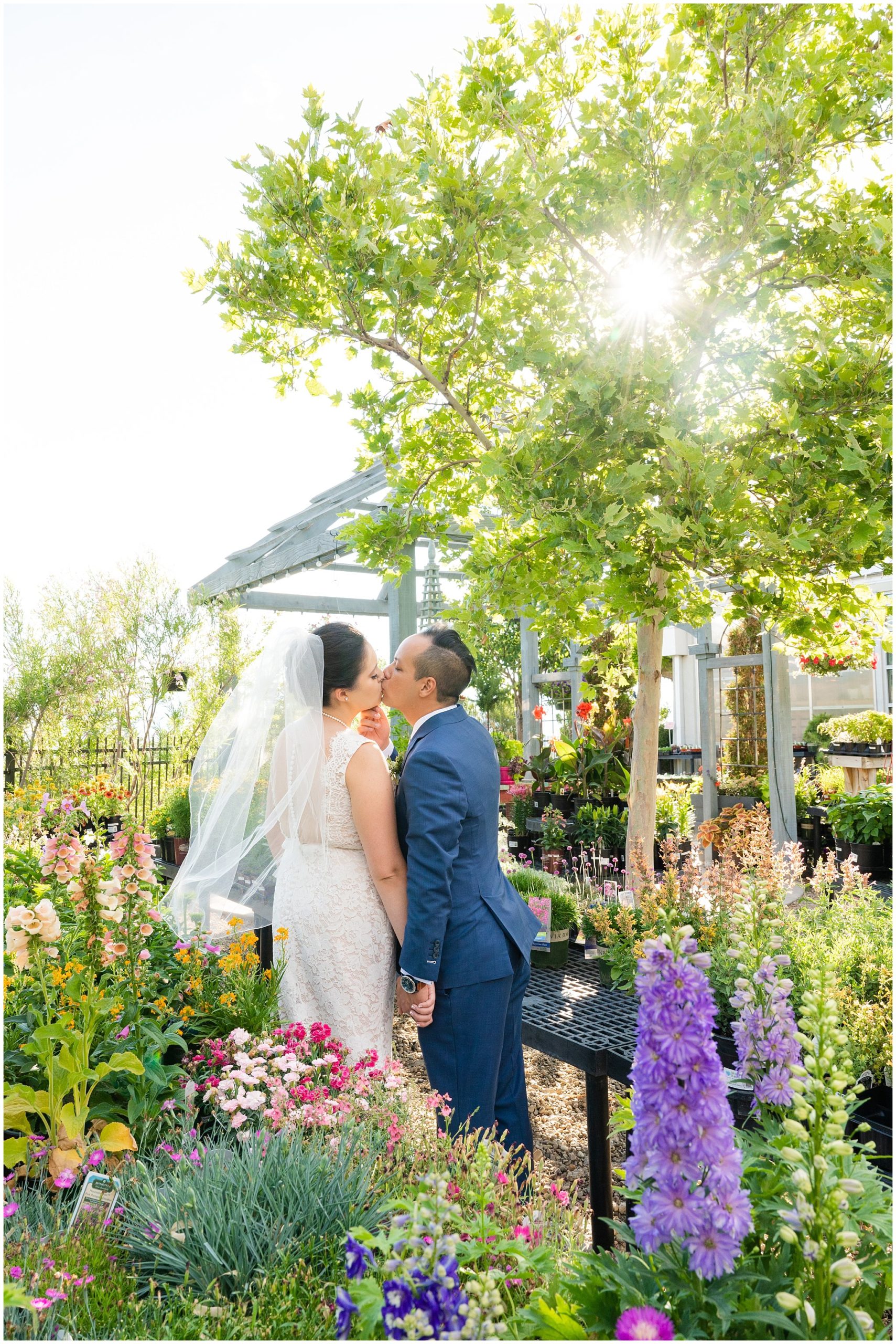 Bride and Groom portraits in the greenhouse at Cactus and Tropicals | Cactus and Tropicals and Salt Lake Church Wedding | Jessie and Dallin Photography