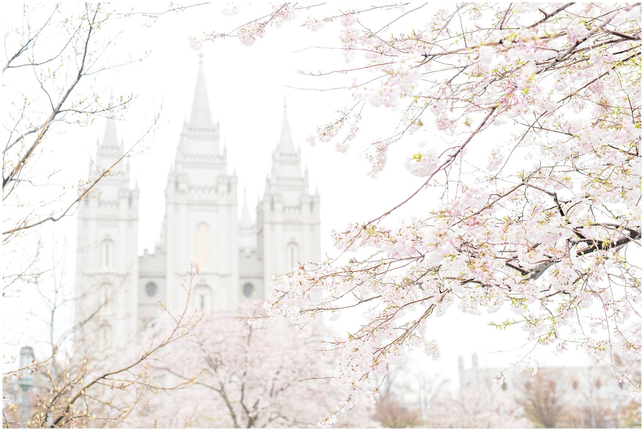 Salt Lake Temple in Spring | spring lds wedding