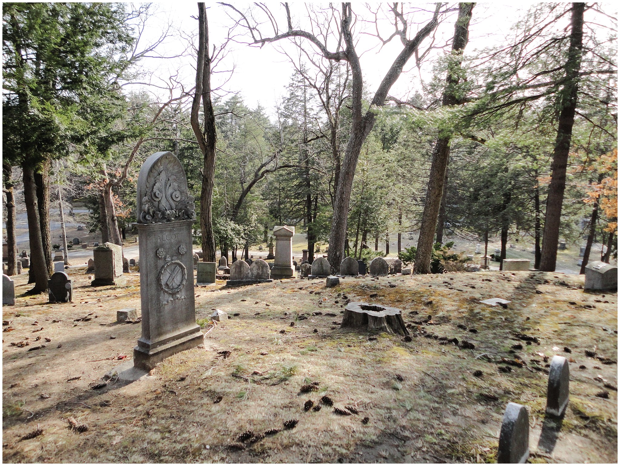 Author's Ridge Sleepy Hollow Cemetery | Historic Massachusetts Honeymoon