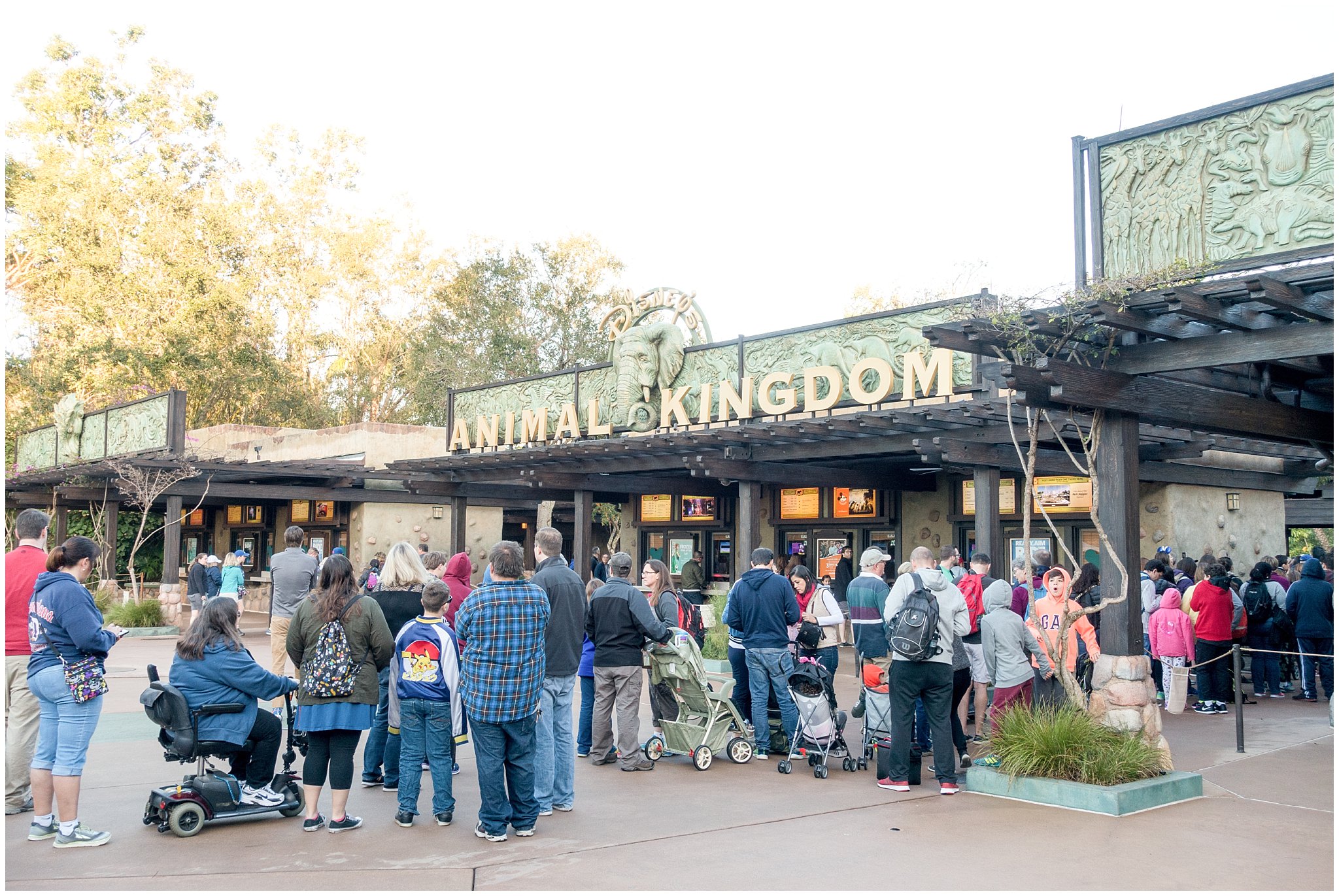 Line outside of Animal Kingdom in the morning