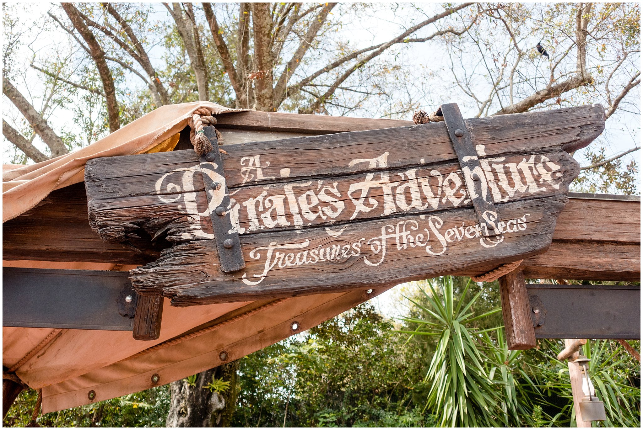 Pirates Adventure Treasures of the Seven Seas Disney World