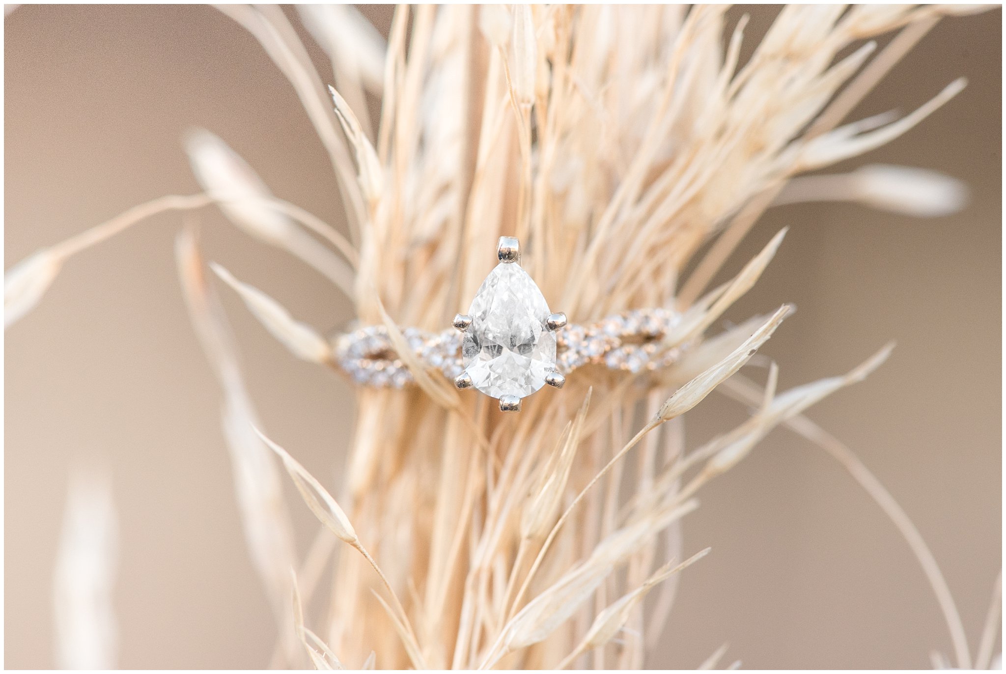 Engagement Ring in the fall grass | Utah Wedding Photographers | Jessie and Dallin Photography