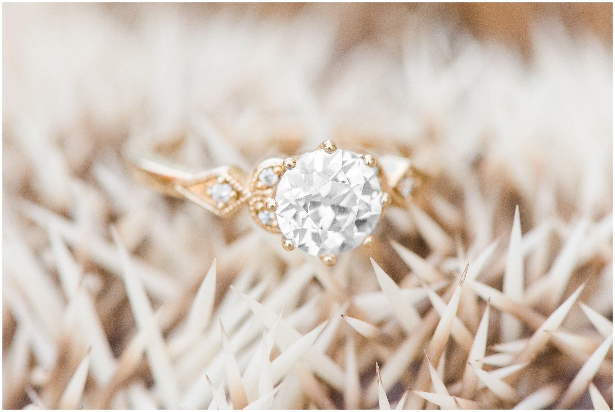 Ringshot on top of a hedgehog | Spring Blossom Engagement at the Utah State Capitol | Utah Wedding Photographers | Jessie and Dallin