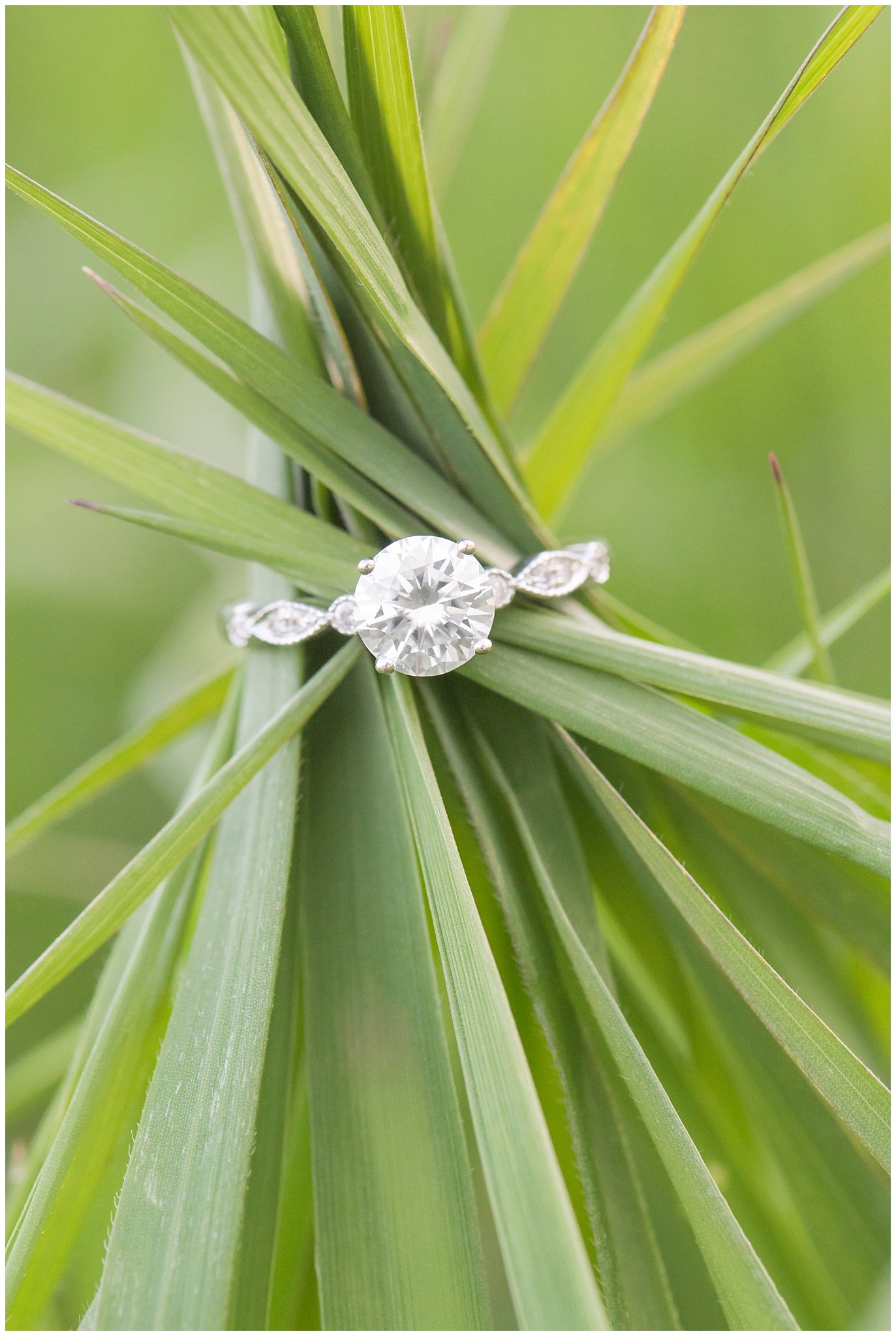 Engagement ring shot on green grass | Downtown Logan and Wellsville Mountain Engagement | Jessie and Dallin Photography