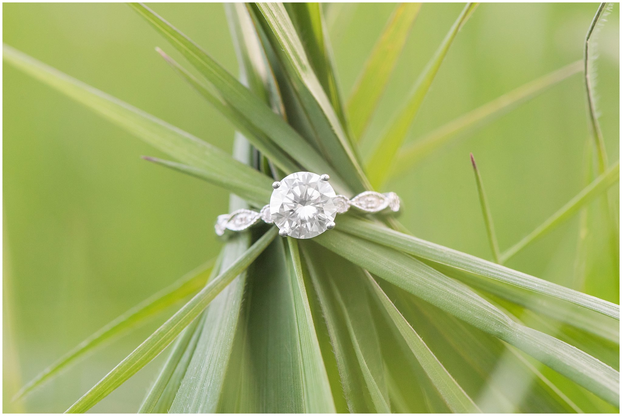 Engagement ring shot on green grass | Downtown Logan and Wellsville Mountain Engagement | Jessie and Dallin Photography