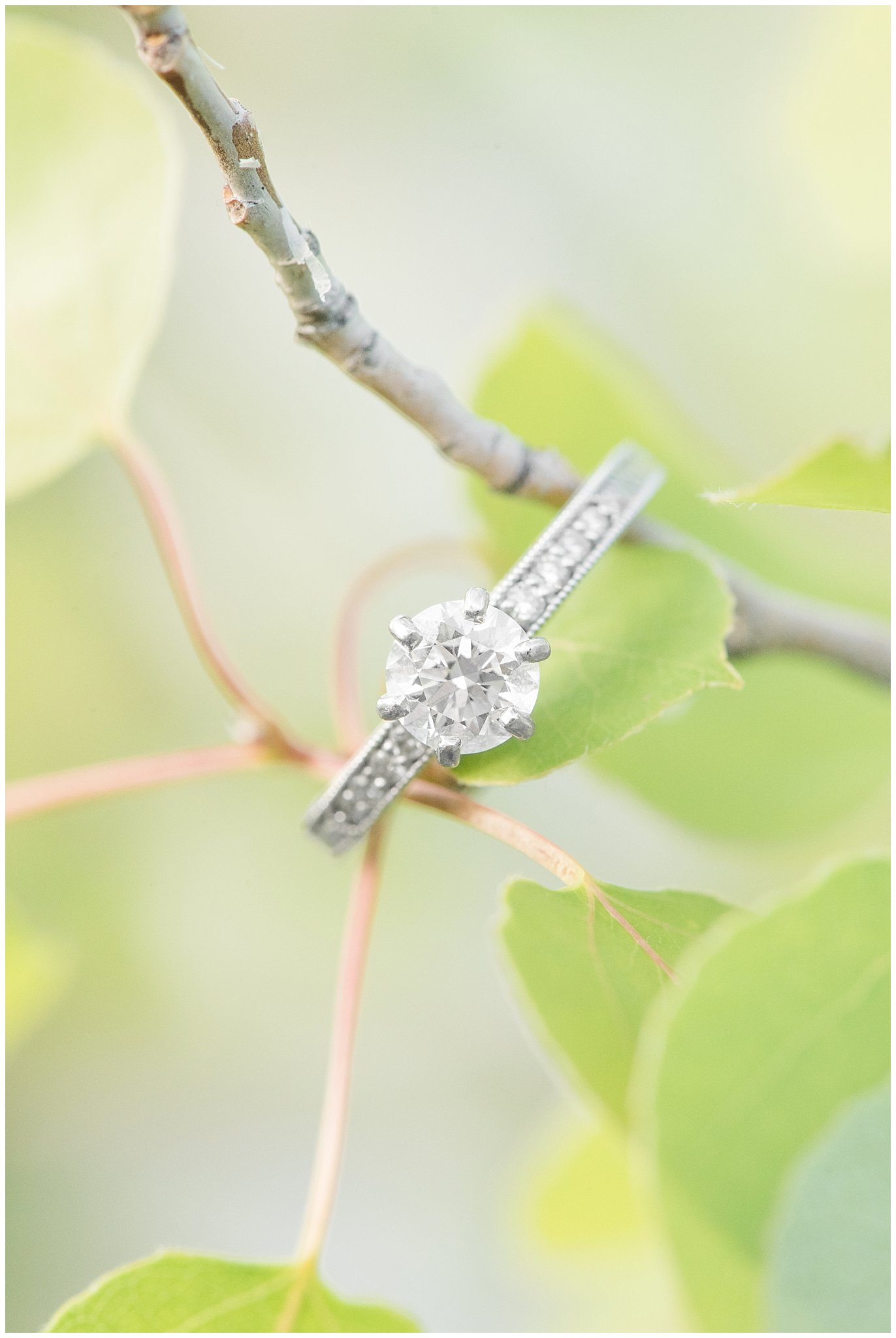 Engagement Ring with detail on the sides | Ring shot in the woods | Ogden Valley Spring Mountain Engagement | Jessie and Dallin Photography