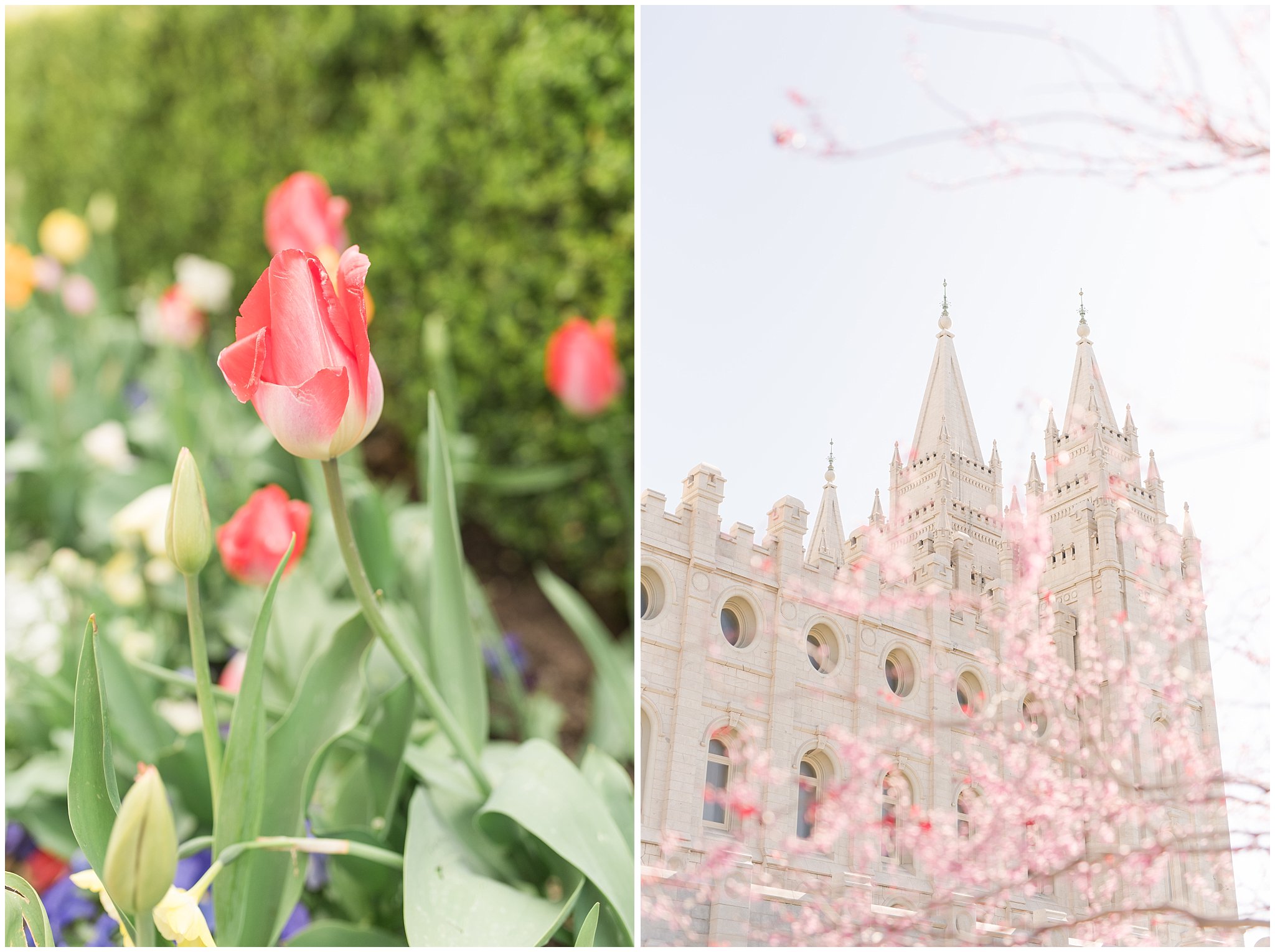 Spring sealing at the Salt Lake Temple | Sealing at the Salt Lake Temple and Grand America | Jessie and Dallin Photography