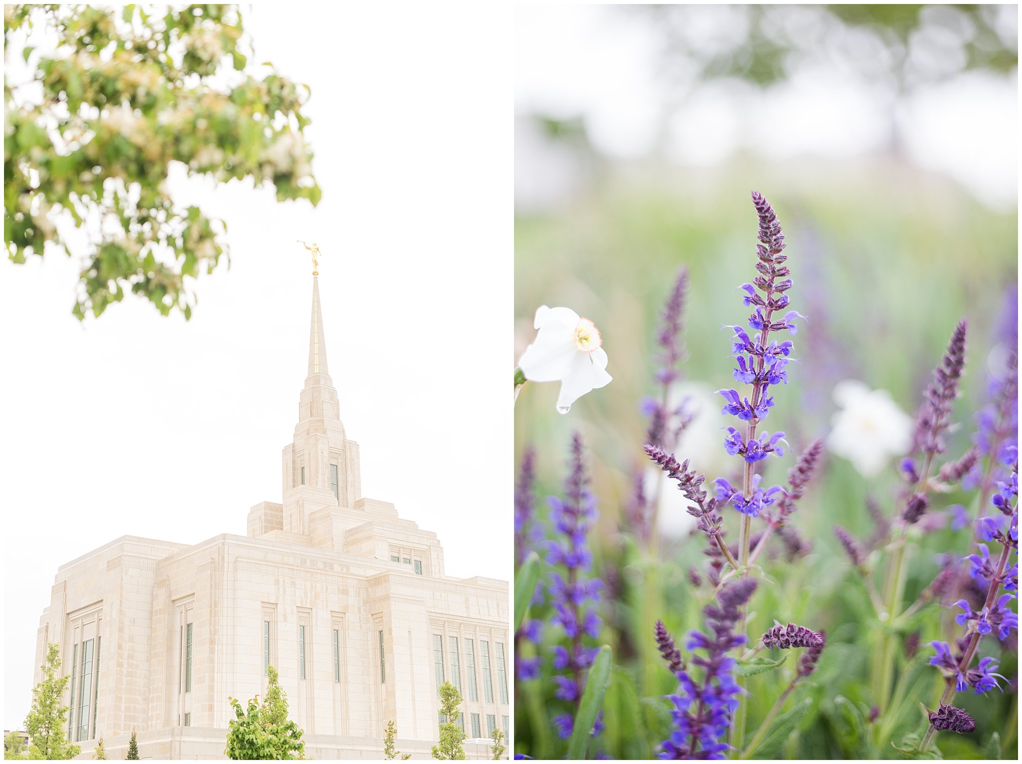 Rainy Spring Ogden Temple Wedding | Utah Wedding | Jessie and Dallin Photography