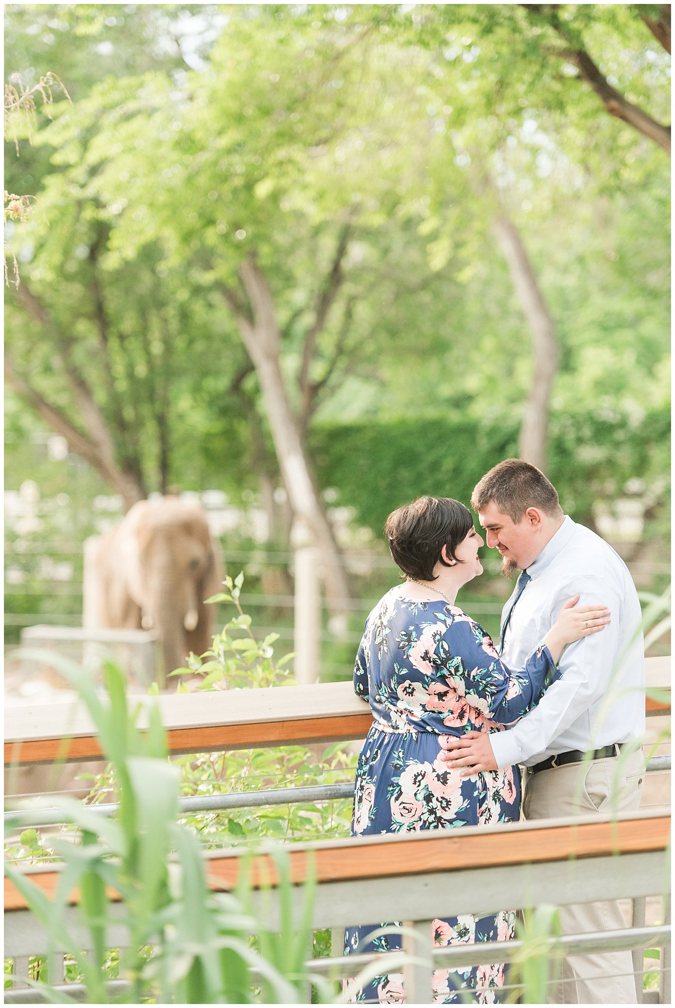 Couple visiting the zoo and seeing the animals for their engagement session | Hogle Zoo Engagement Session | Fun and unique engagement | Utah Engagement Photography | Jessie and Dallin Photography