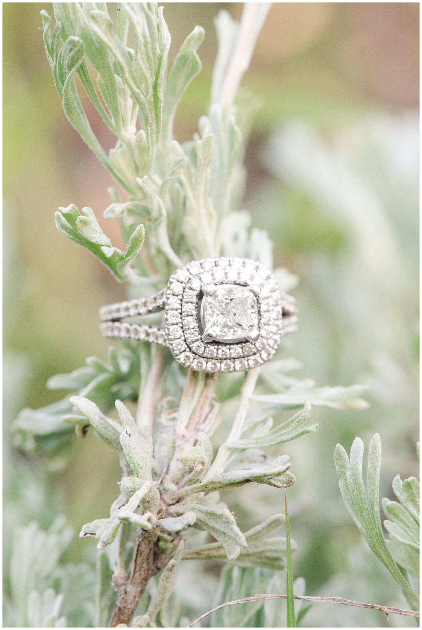 Engagement ring on sagebrush | Wildflower Engagement in the Utah Mountains | Utah Engagement Photography | Jessie and Dallin Photography