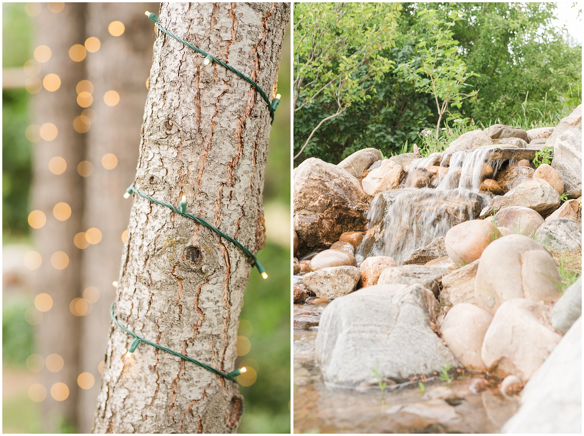 Trees at Oak Hills | Oak Hills Reception and Event Center | Utah Wedding Venue | Jessie and Dallin Photography