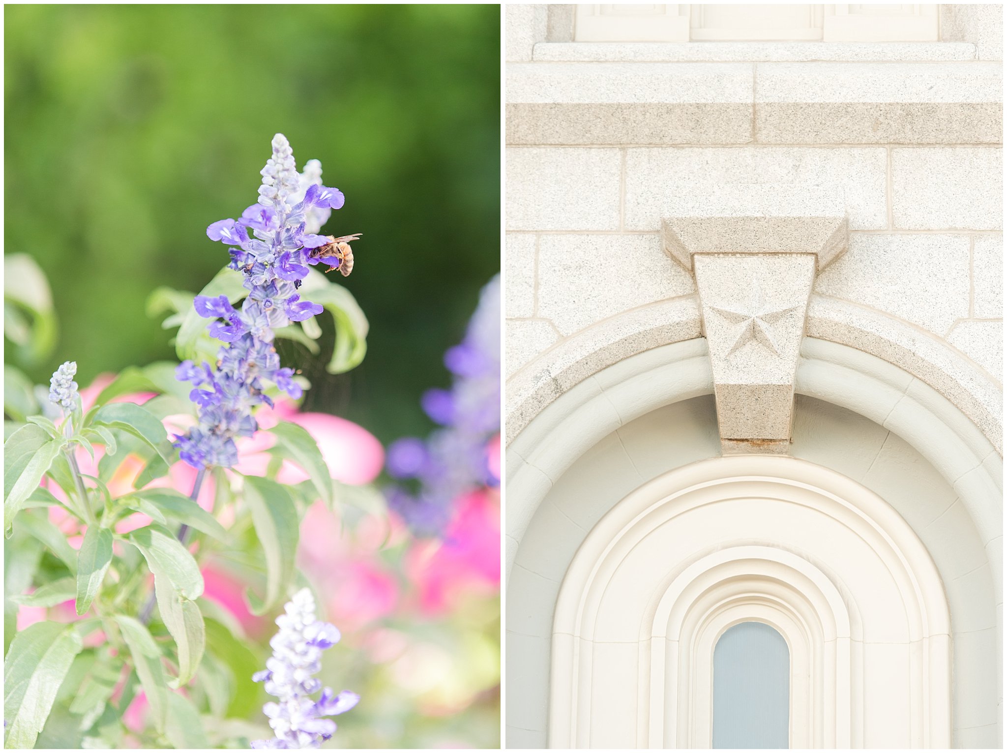 Bee on a flower and temple details | Salt Lake Temple Wedding and Clearfield City Hall Reception | Utah Wedding Photographers | Jessie and Dallin Photography