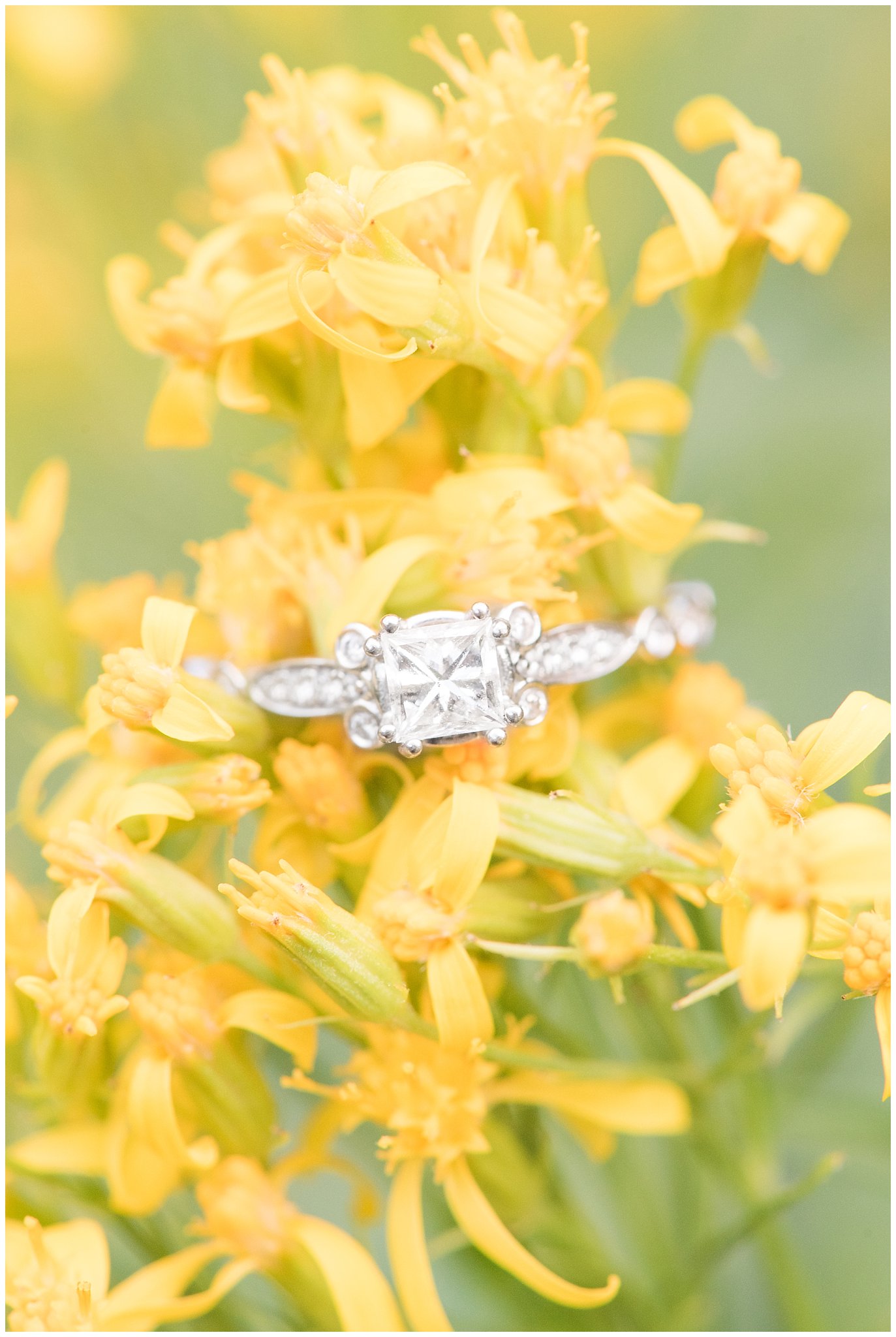 Engagement ring shot on yellow wildflowers | Tony Grove Wildflower Engagement | Utah Mountain Engagement | Jessie and Dallin Photography