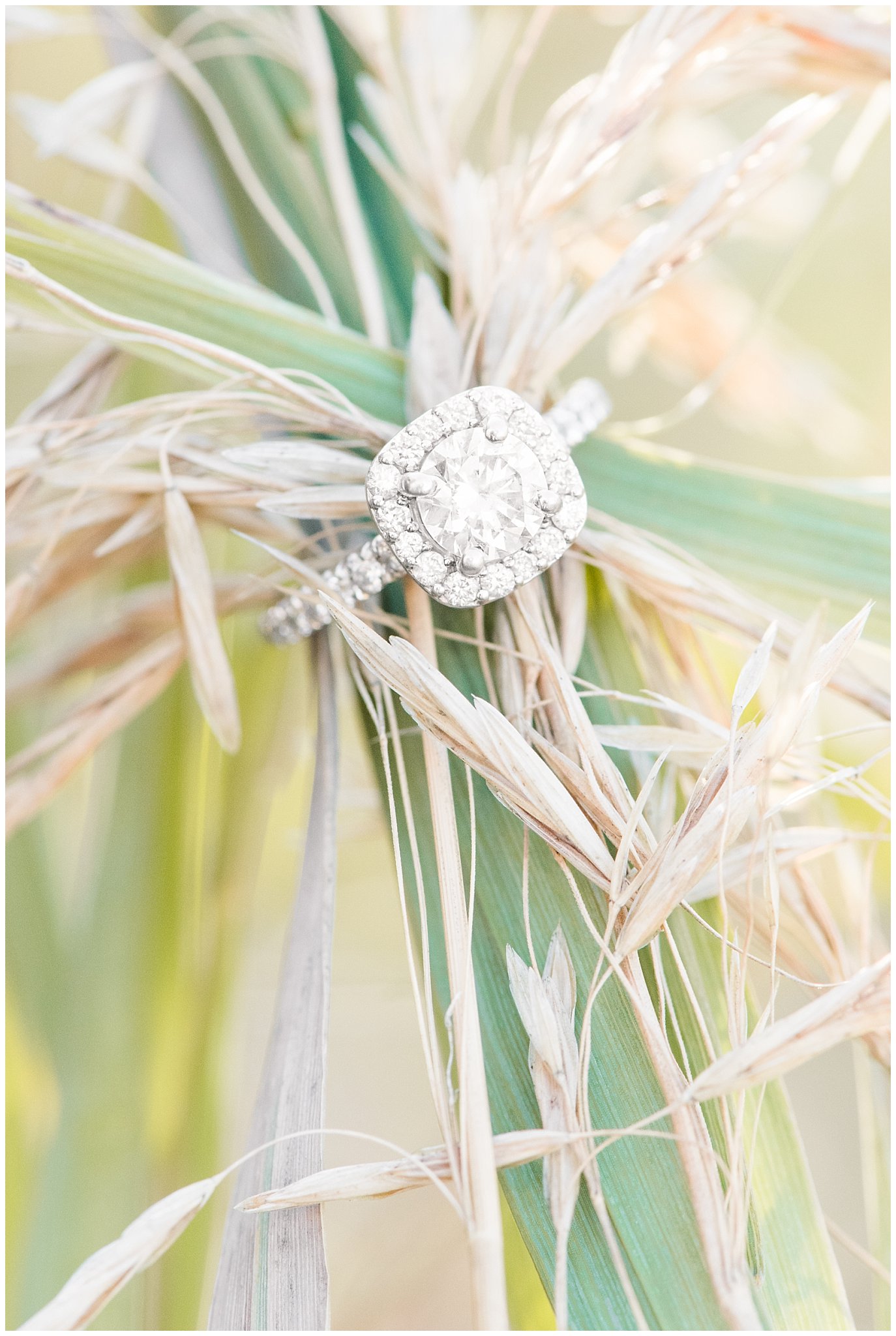 Engagement ring on fall grass and wheat grass | A Classic Snowbasin Fall Engagement Session | Jessie and Dallin Photography