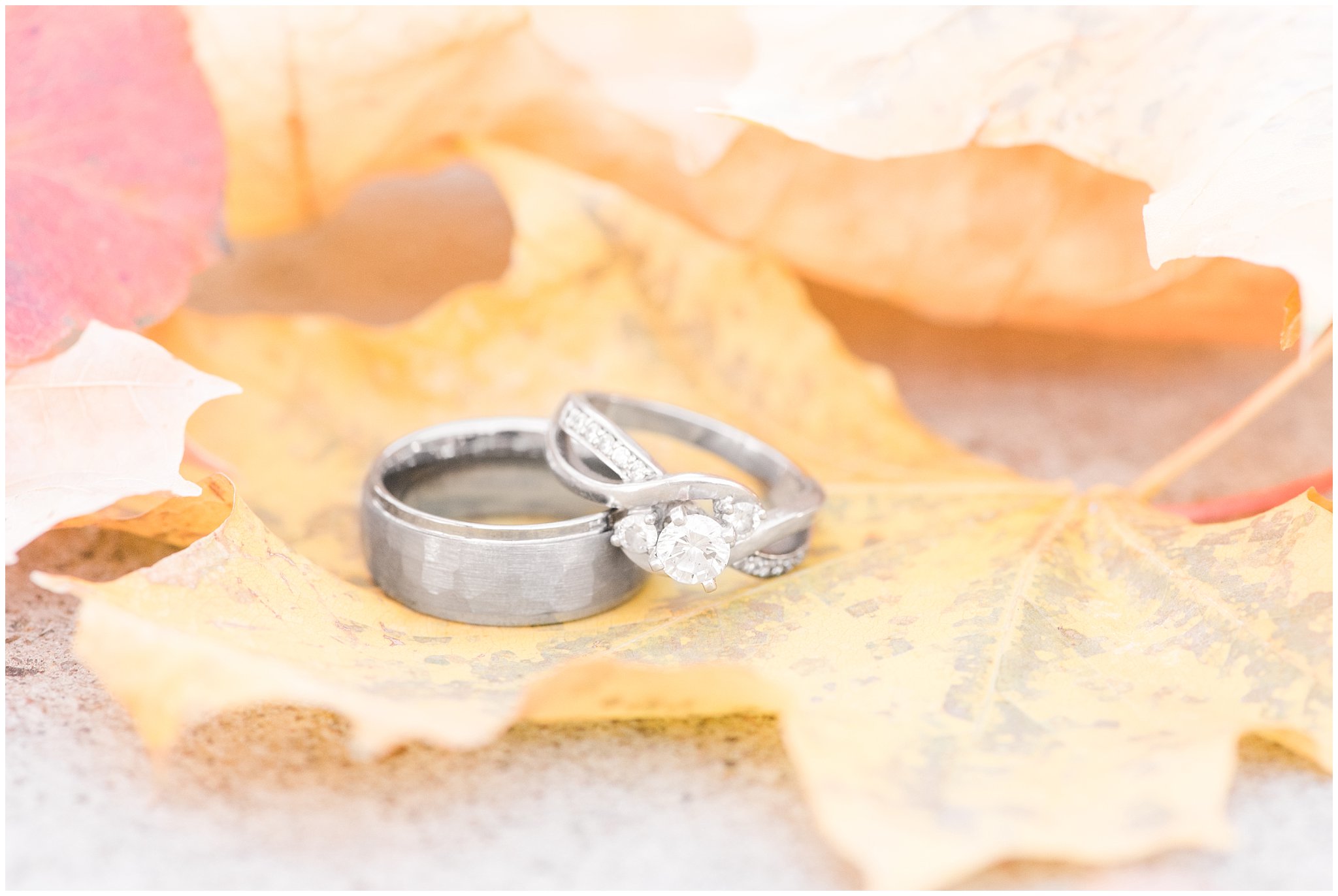 Wedding rings on fall leaves | Logan Temple Fall Wedding and Logan Country Club Reception | Jessie and Dallin Photography