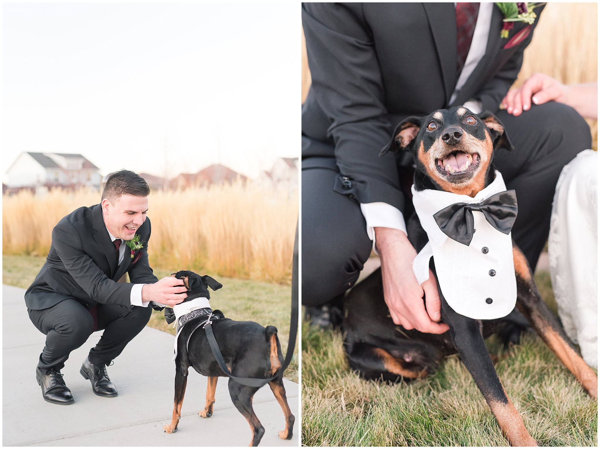 Bride surprises groom with dog at wedding and formal session | Dog first look surprise | | oquirrh mountain temple winter formal session | Jessie and Dallin Photography