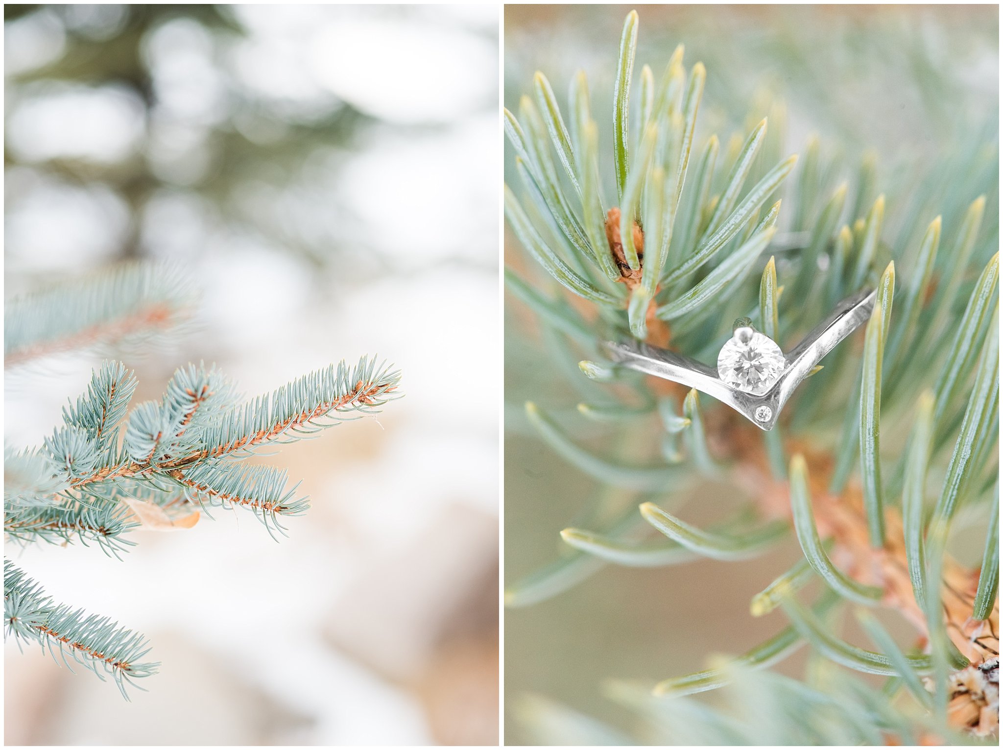 Engagement ring on the snowy pines | Snowbasin Winter Engagement Session