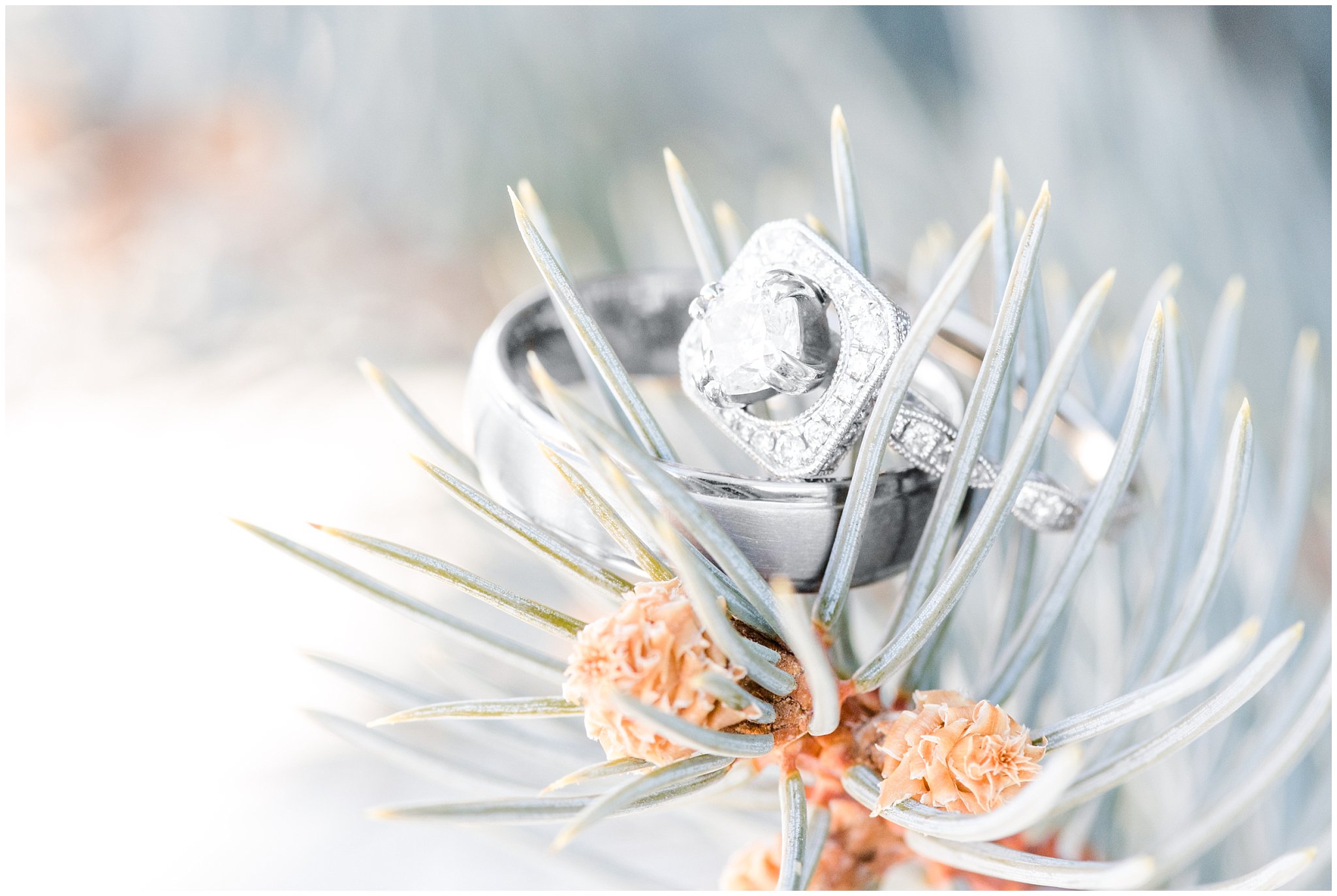 Wedding ring shot on top of tree at the Ogden temple in the winter | Top Utah Wedding and Couples Photos 2019 | Jessie and Dallin Photography