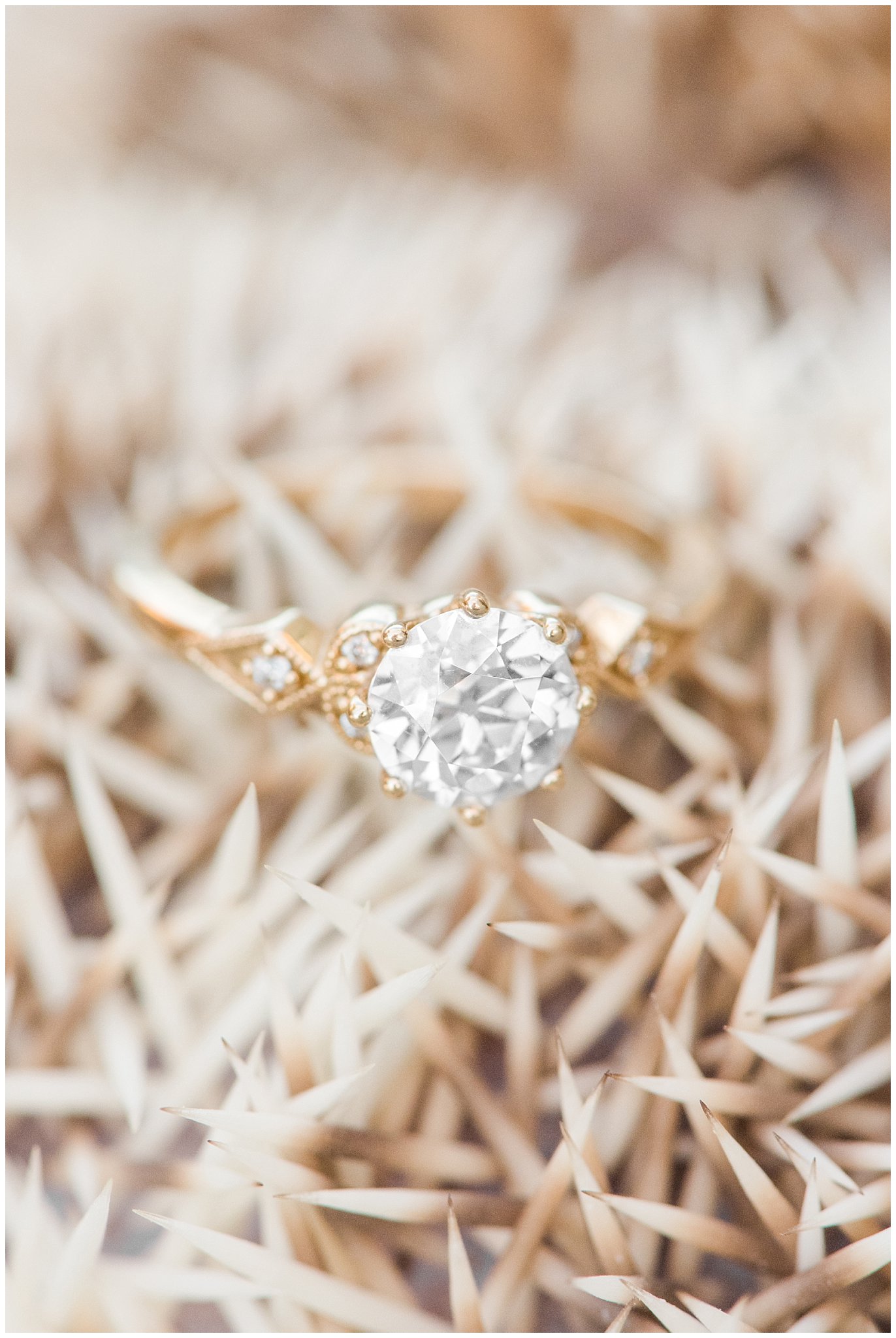 Vintage engagement ring on top of hedgehog | Top Utah Wedding and Couples Photos 2019 | Jessie and Dallin Photography